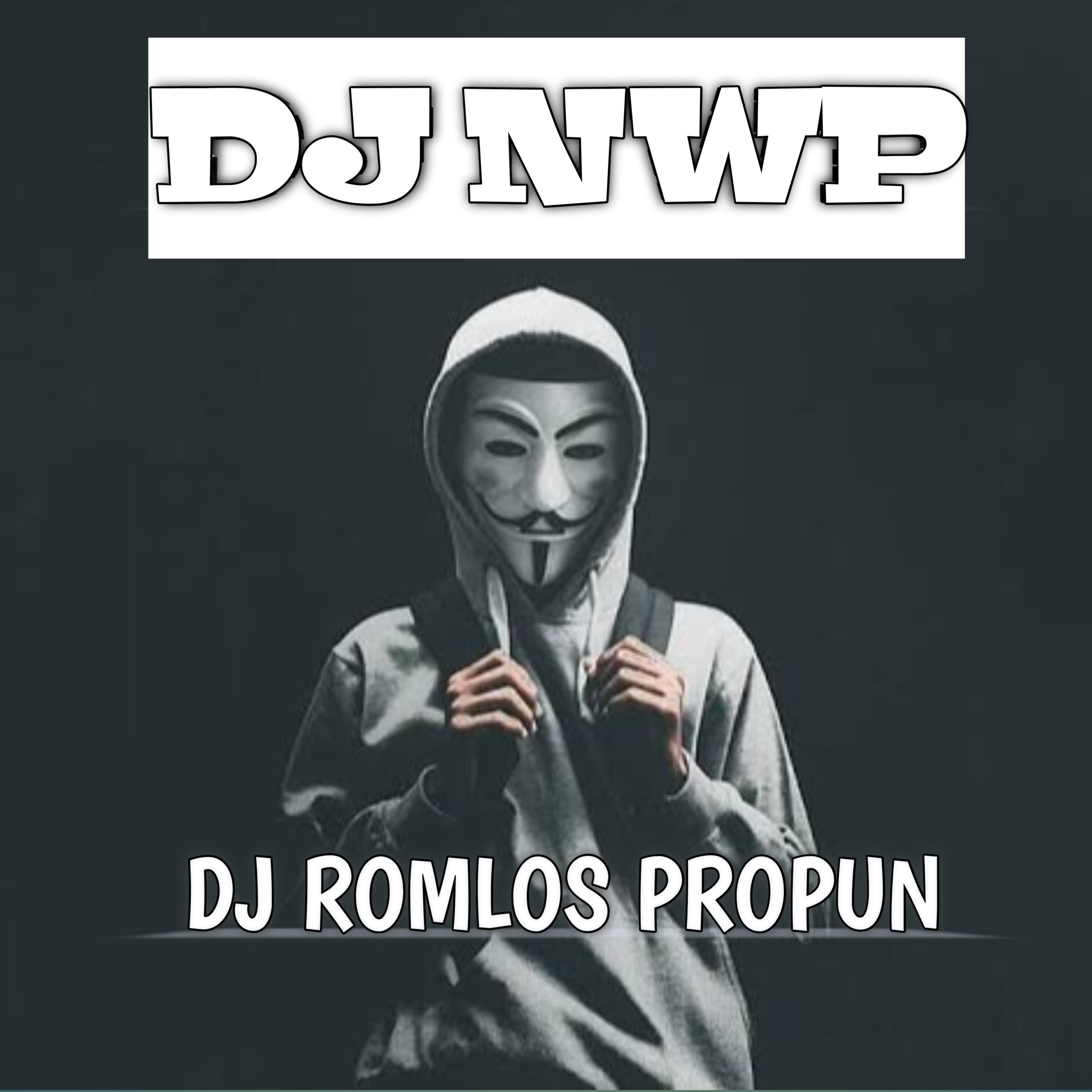 Релиз DJ Romlos Propun