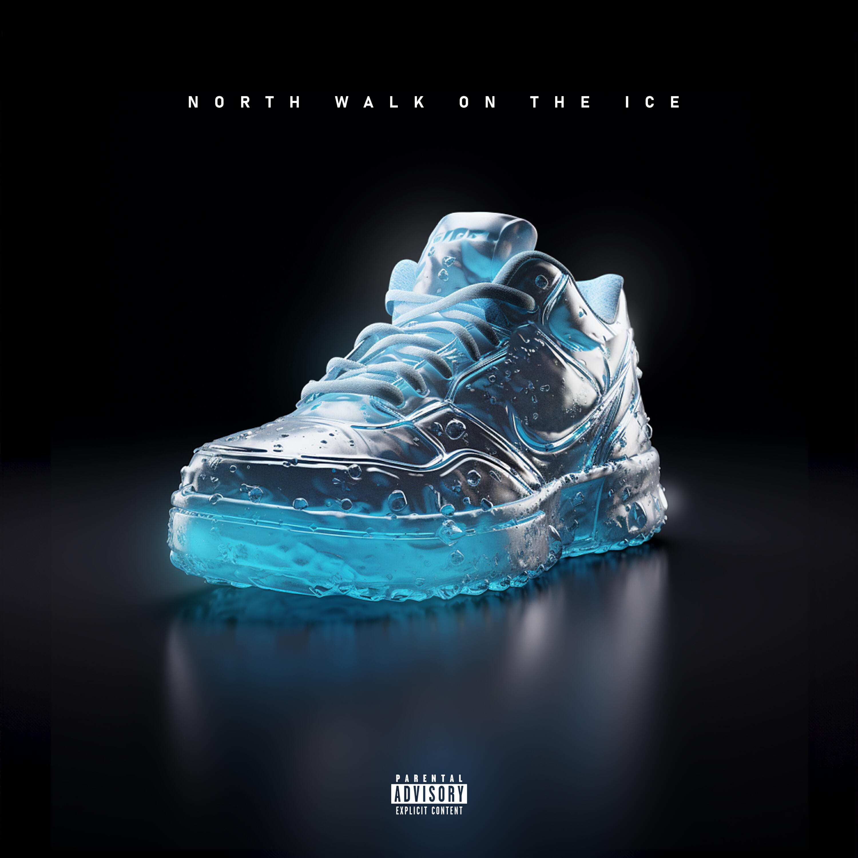 Релиз North Walk on the Ice