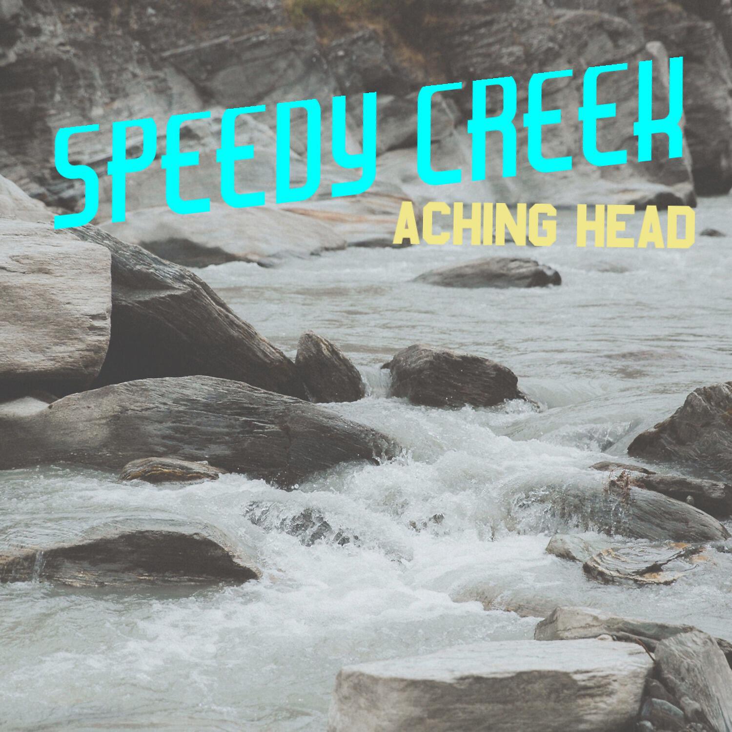 Speedy Creek