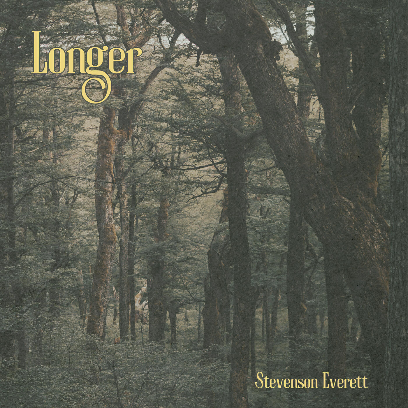 Релиз Longer