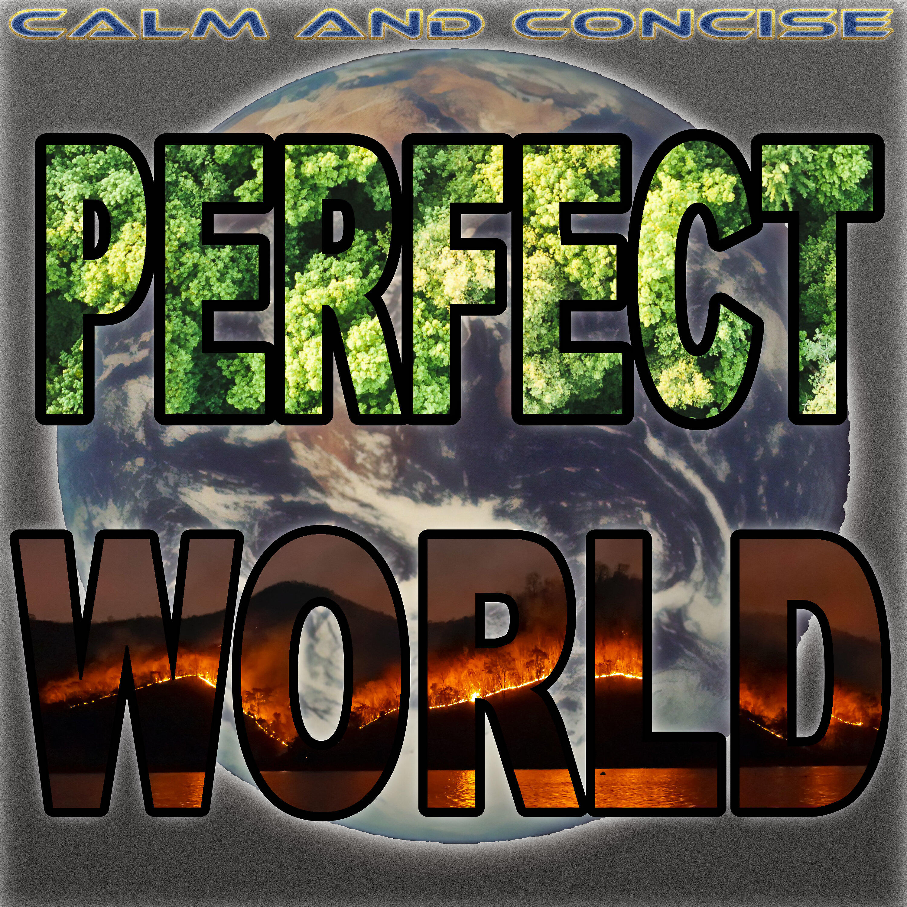 Постер альбома Perfect World