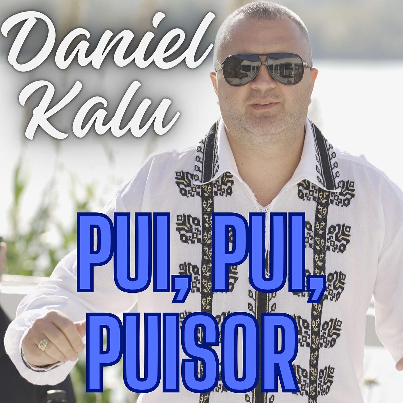 Релиз Pui, Pui, Puisor