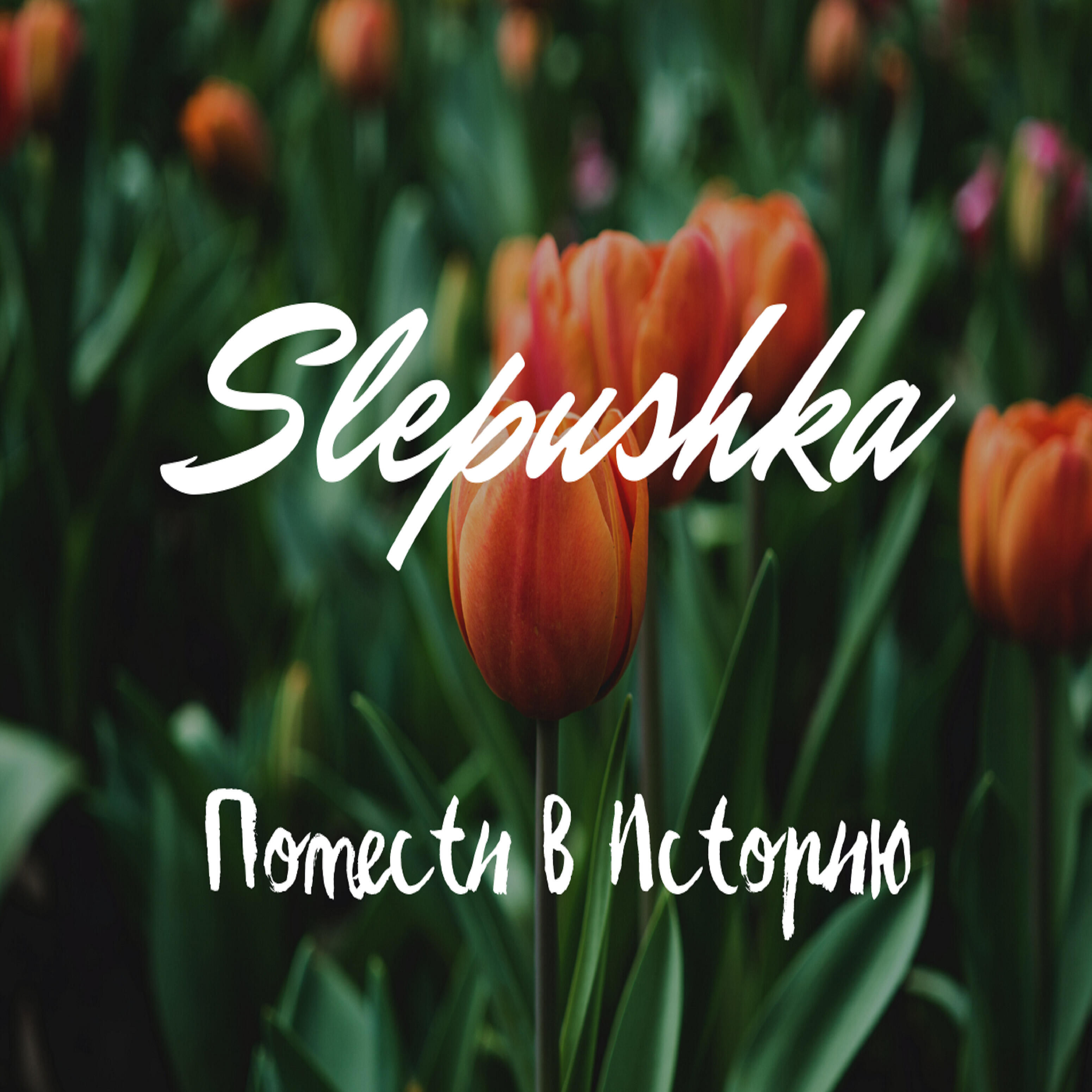 Релиз Помести в историю