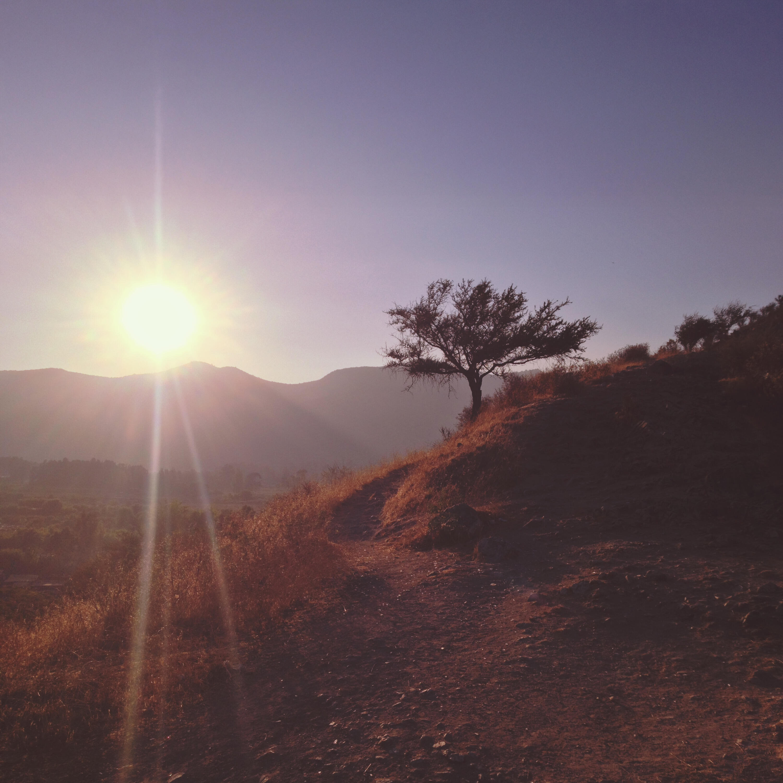 Релиз Solstice Sun