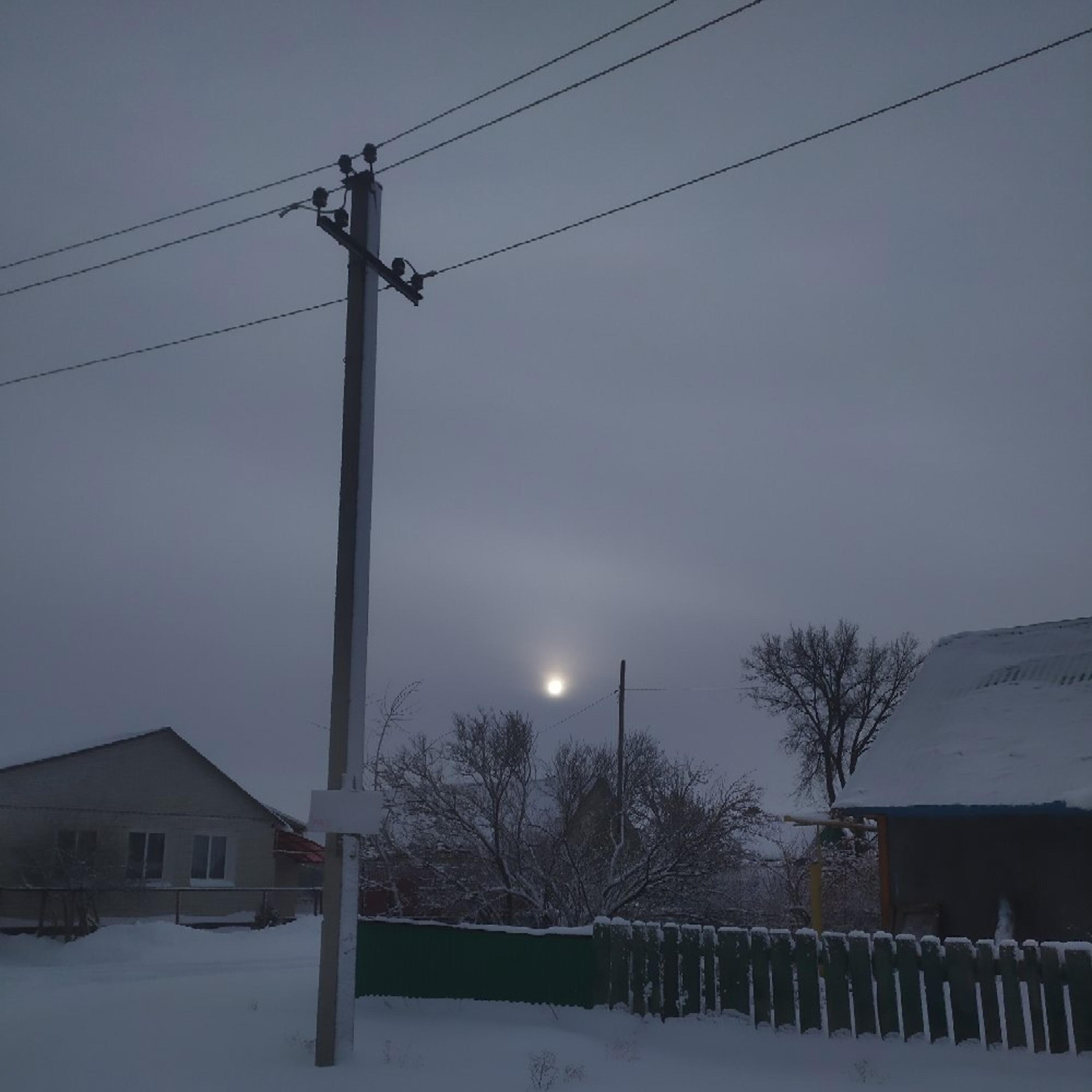 Релиз Лес самоубийц