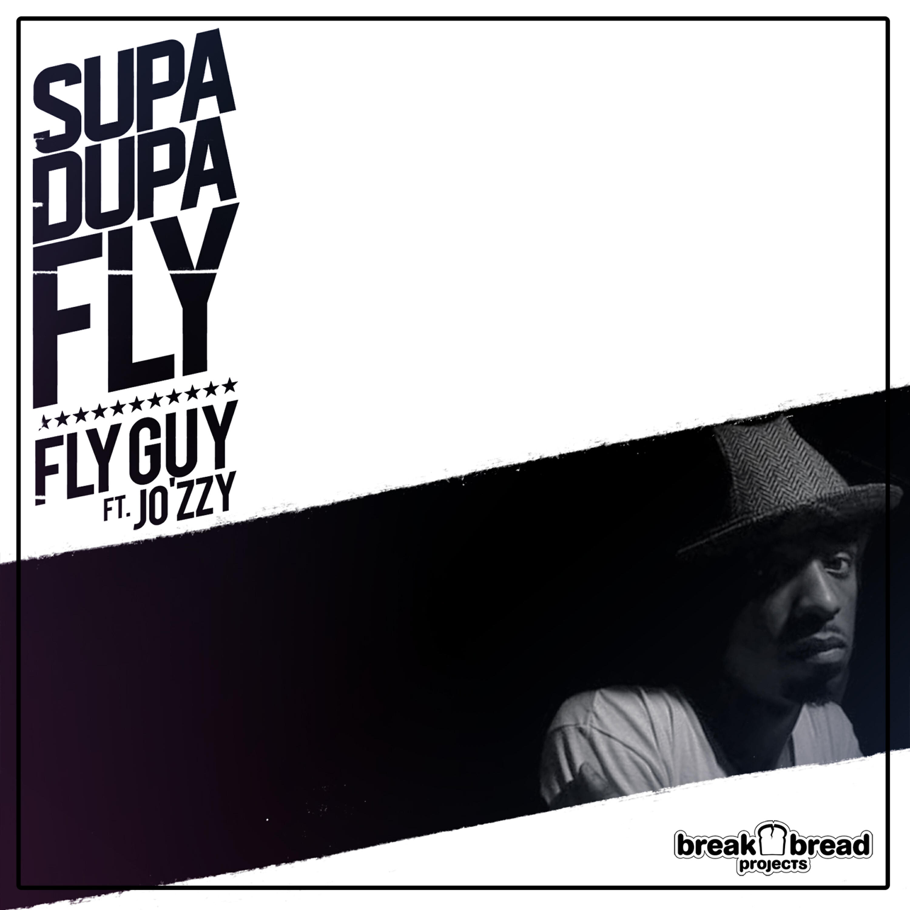A Fly Guy™ все песни в mp3