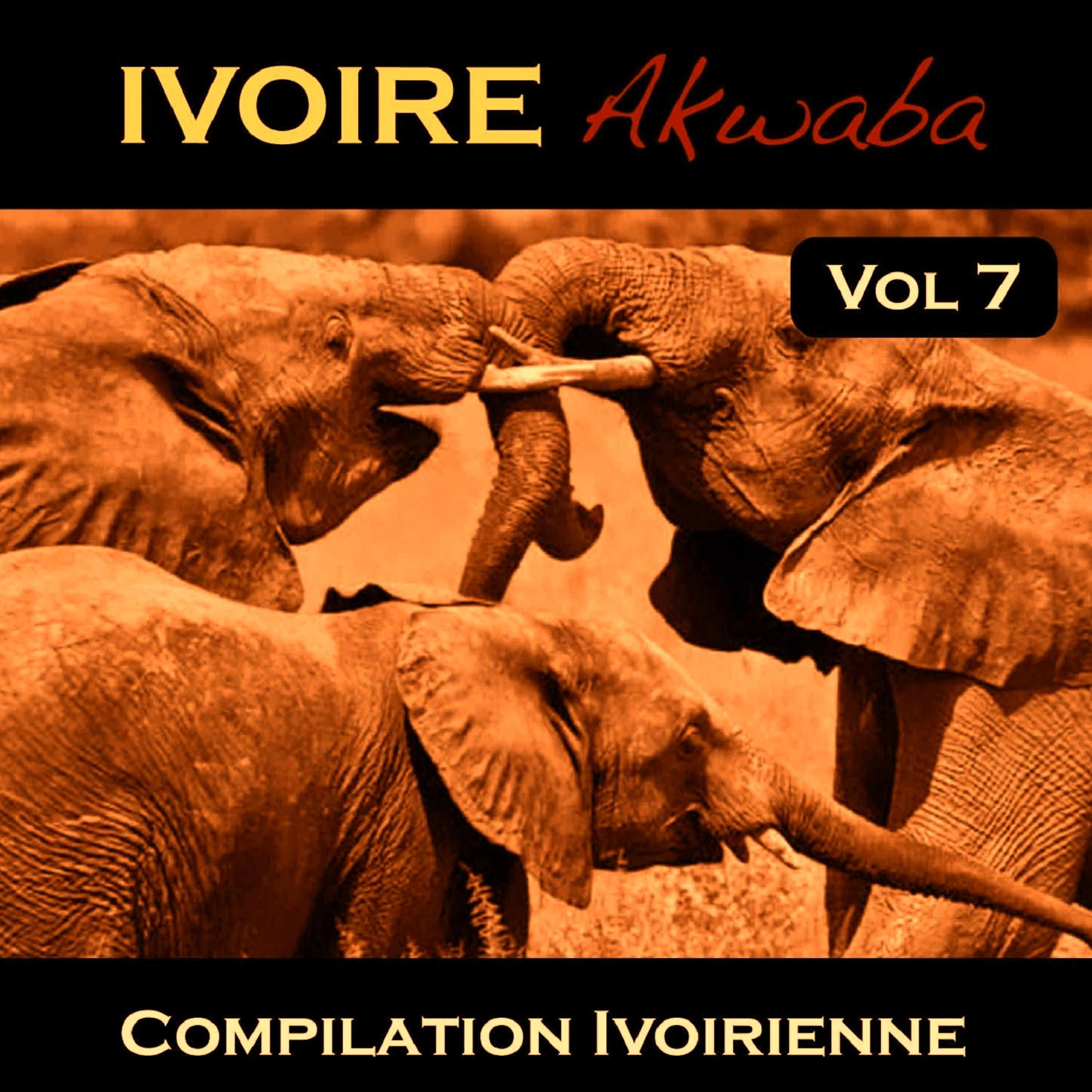 Постер альбома Variété Côte d'Ivoire Vol. 7