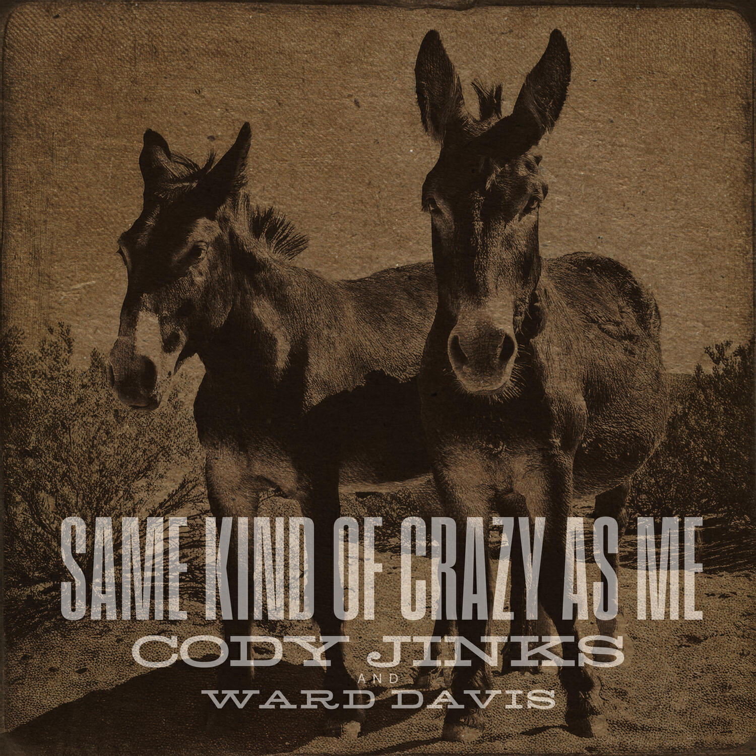 Релиз Same Kind of Crazy as Me