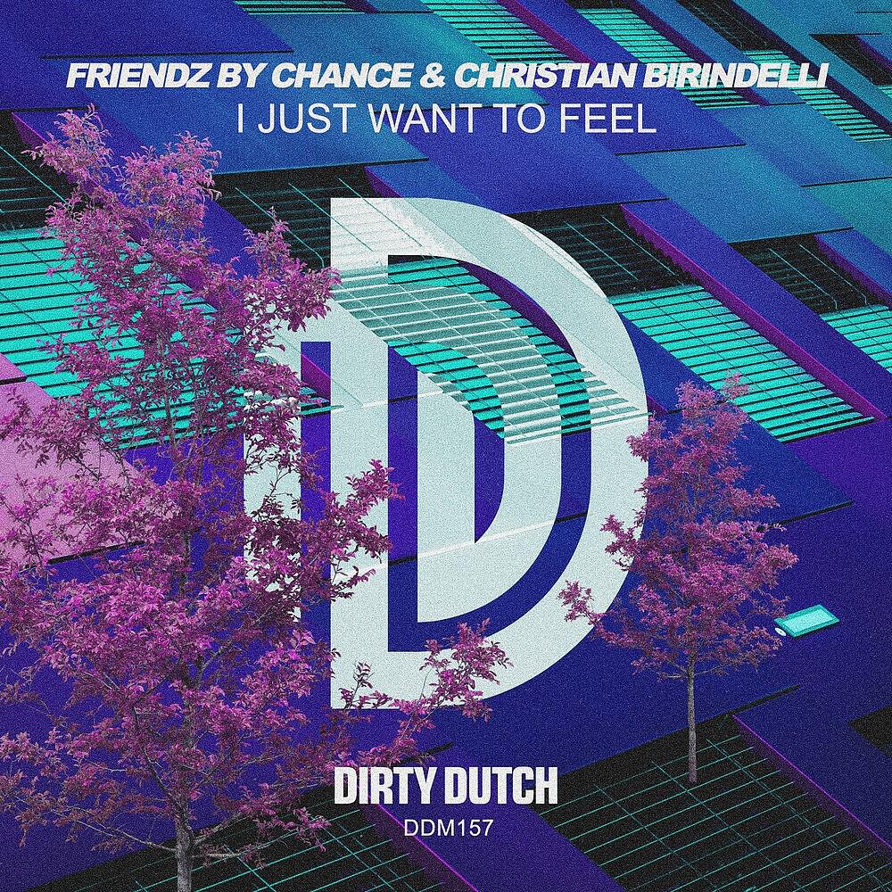 Christian Birindelli