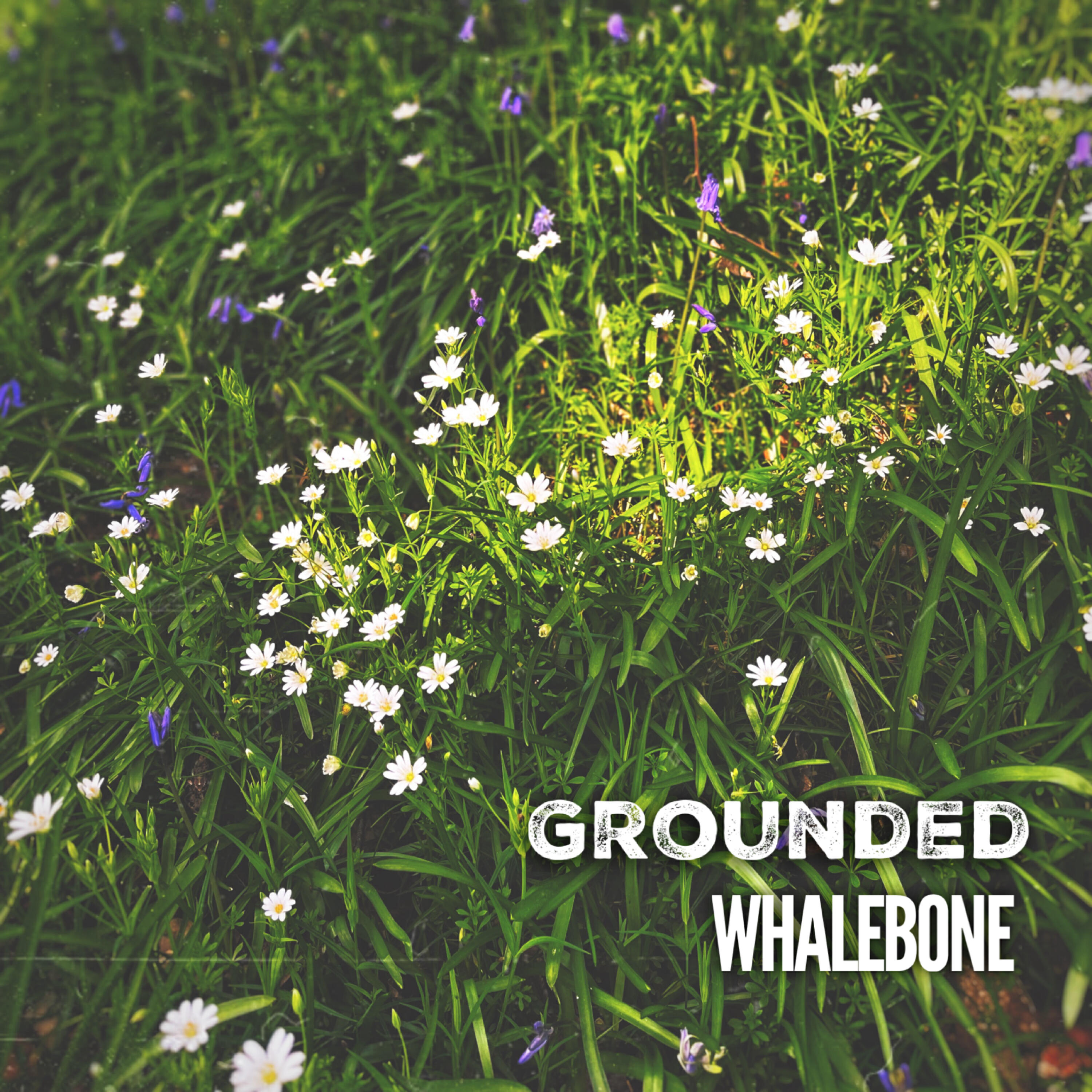 Релиз Grounded