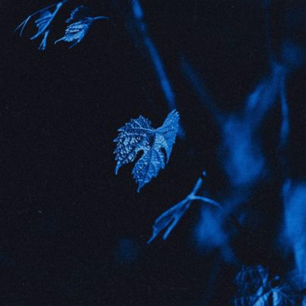 Релиз lost in a dream
