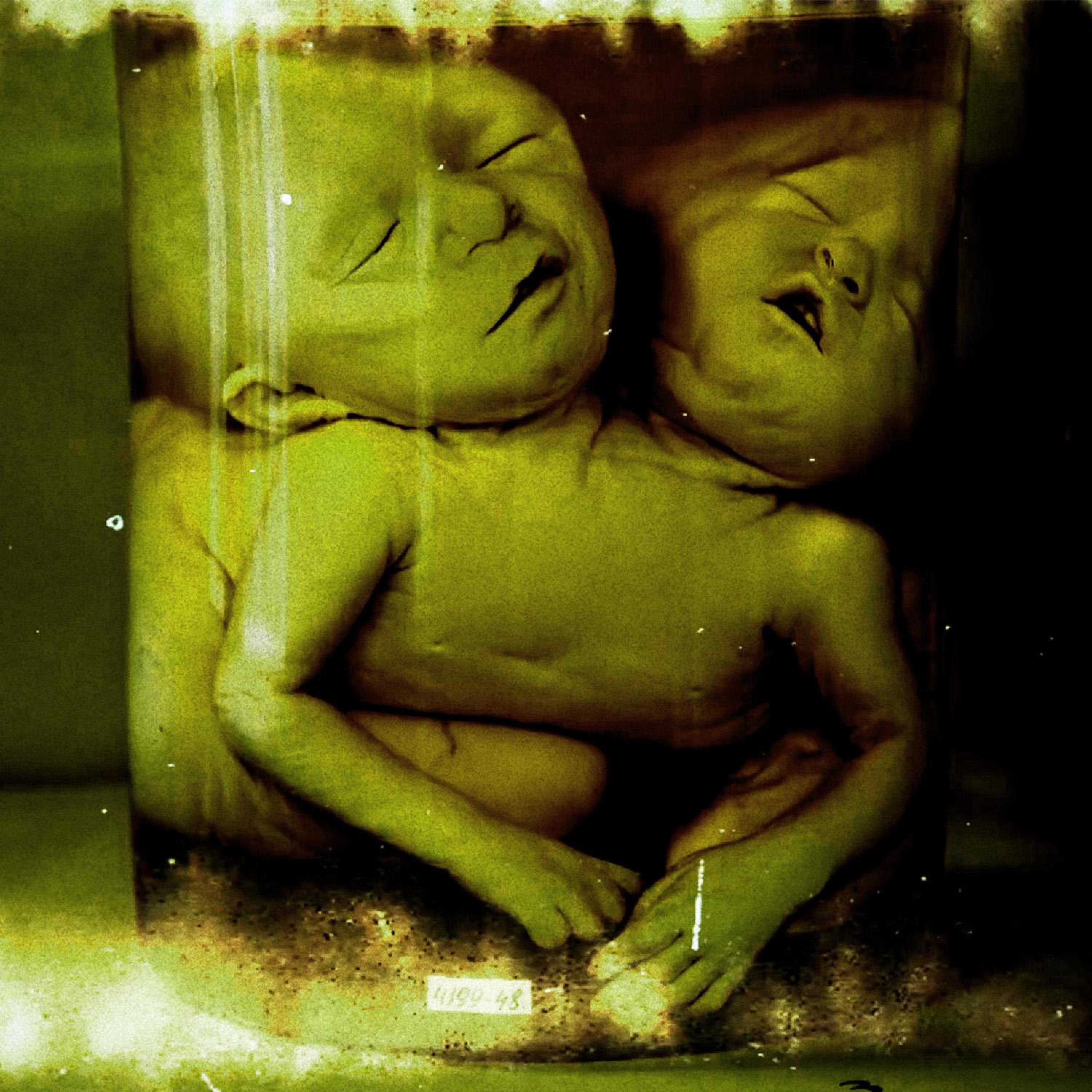 Релиз Empty Bones