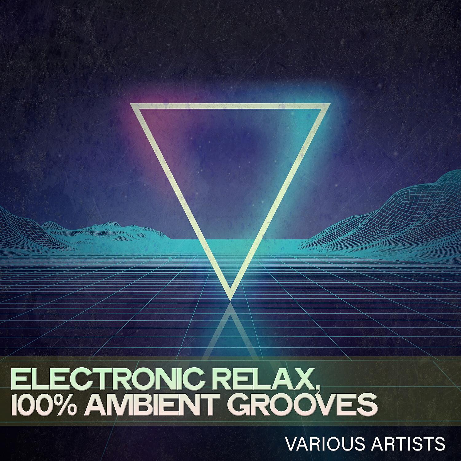Постер альбома Electronic Relax, 100% Ambient Grooves