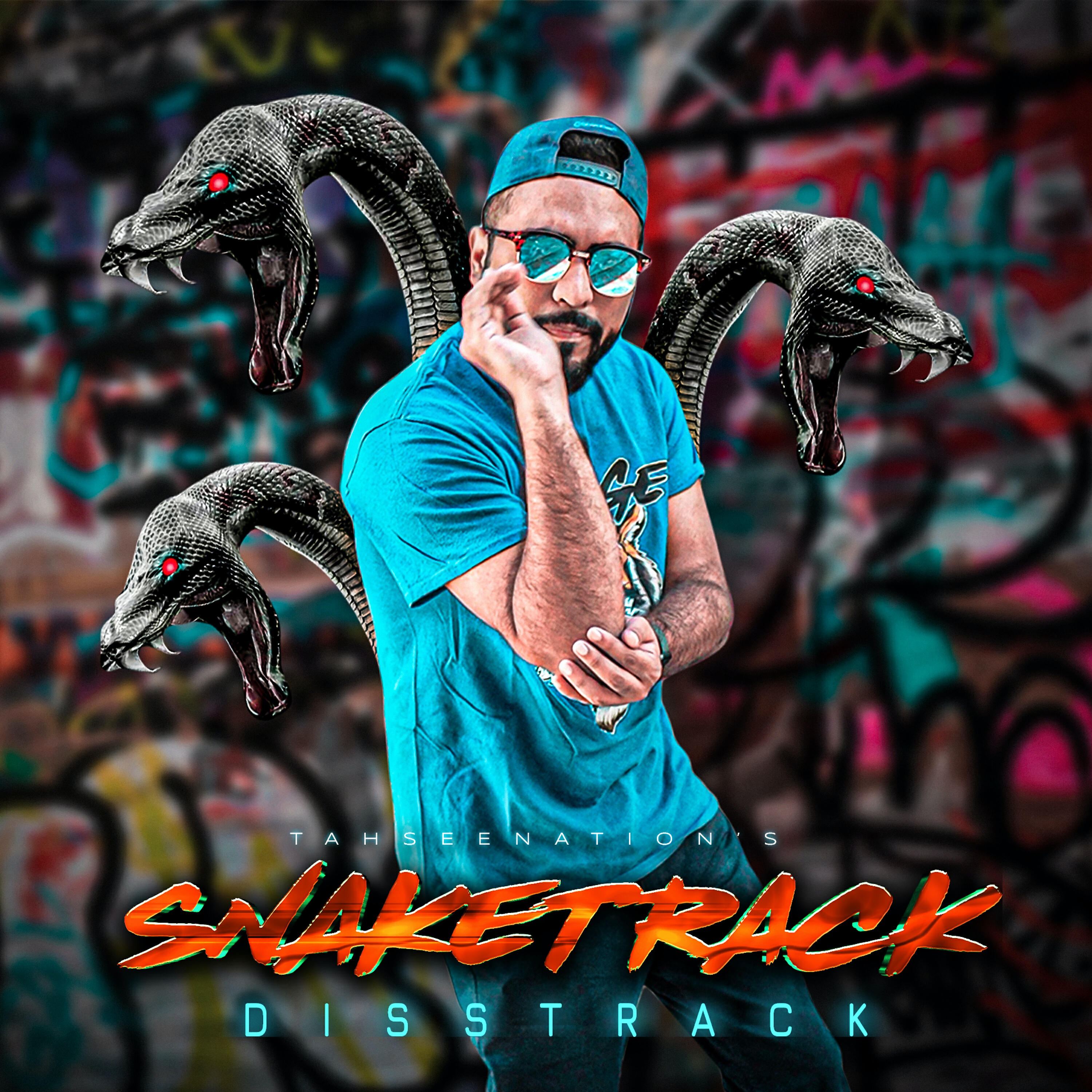 Релиз SnakeTrack (Shapin DissTrack)