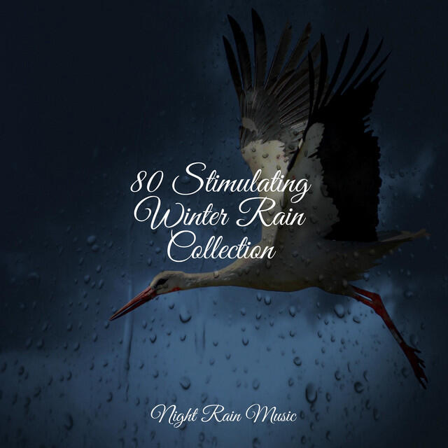 Релиз 80 Stimulating Winter Rain Collection