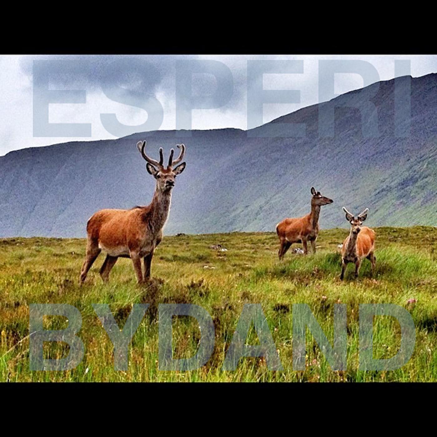 Релиз Bydand