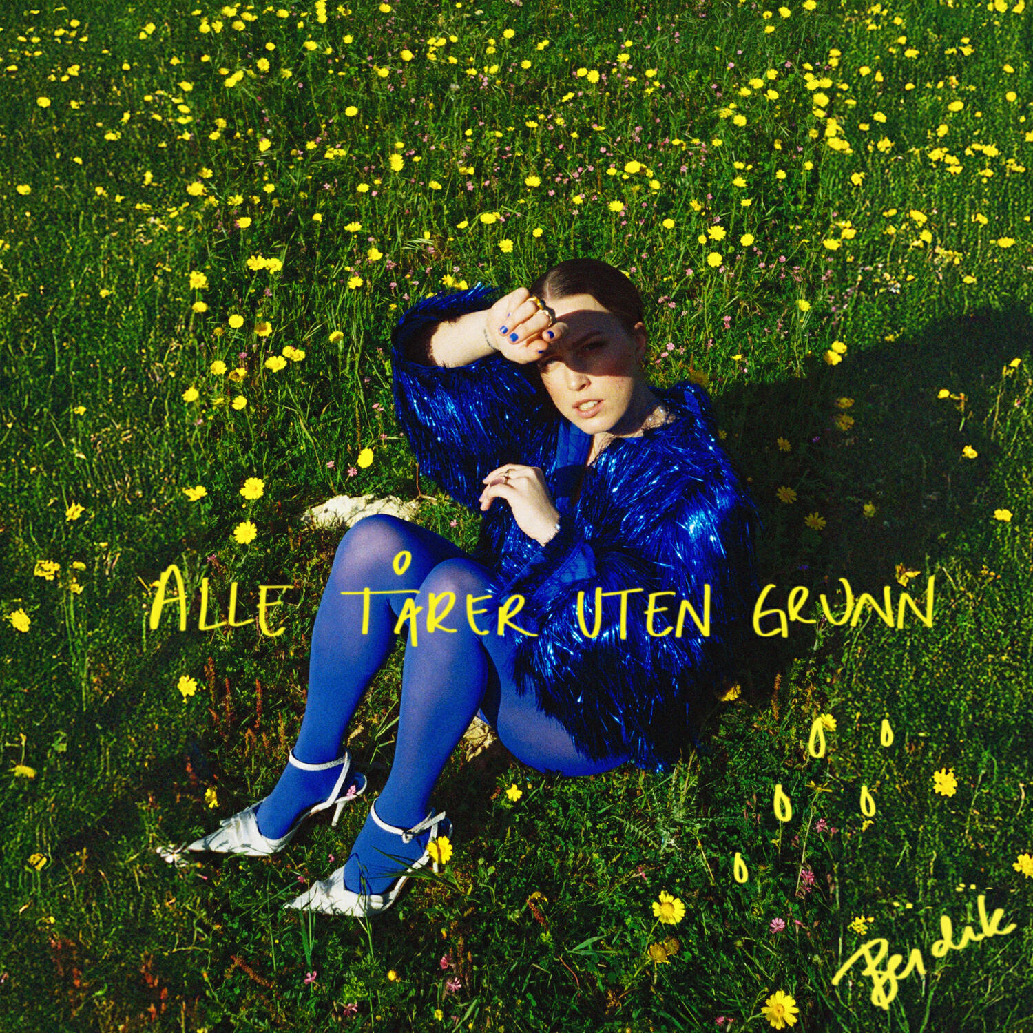Релиз Alle tårer uten grunn