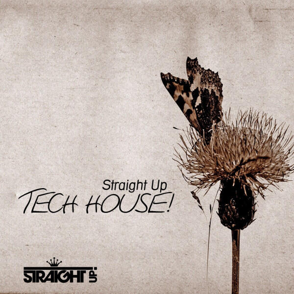 Релиз Straight Up Tech House!