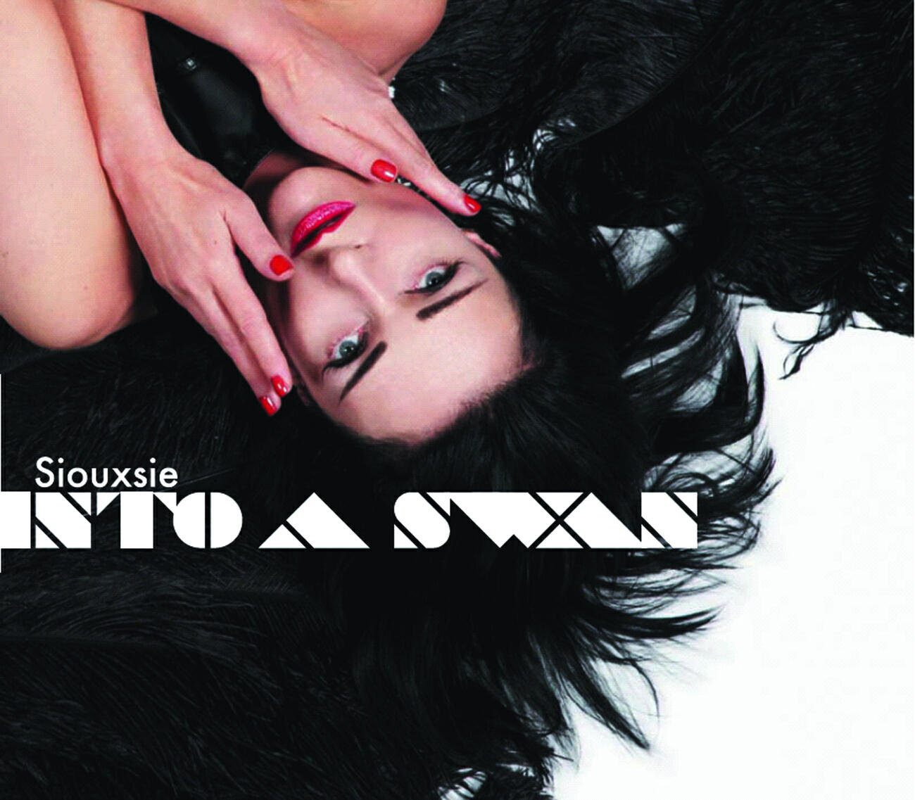 Релиз Into A Swan