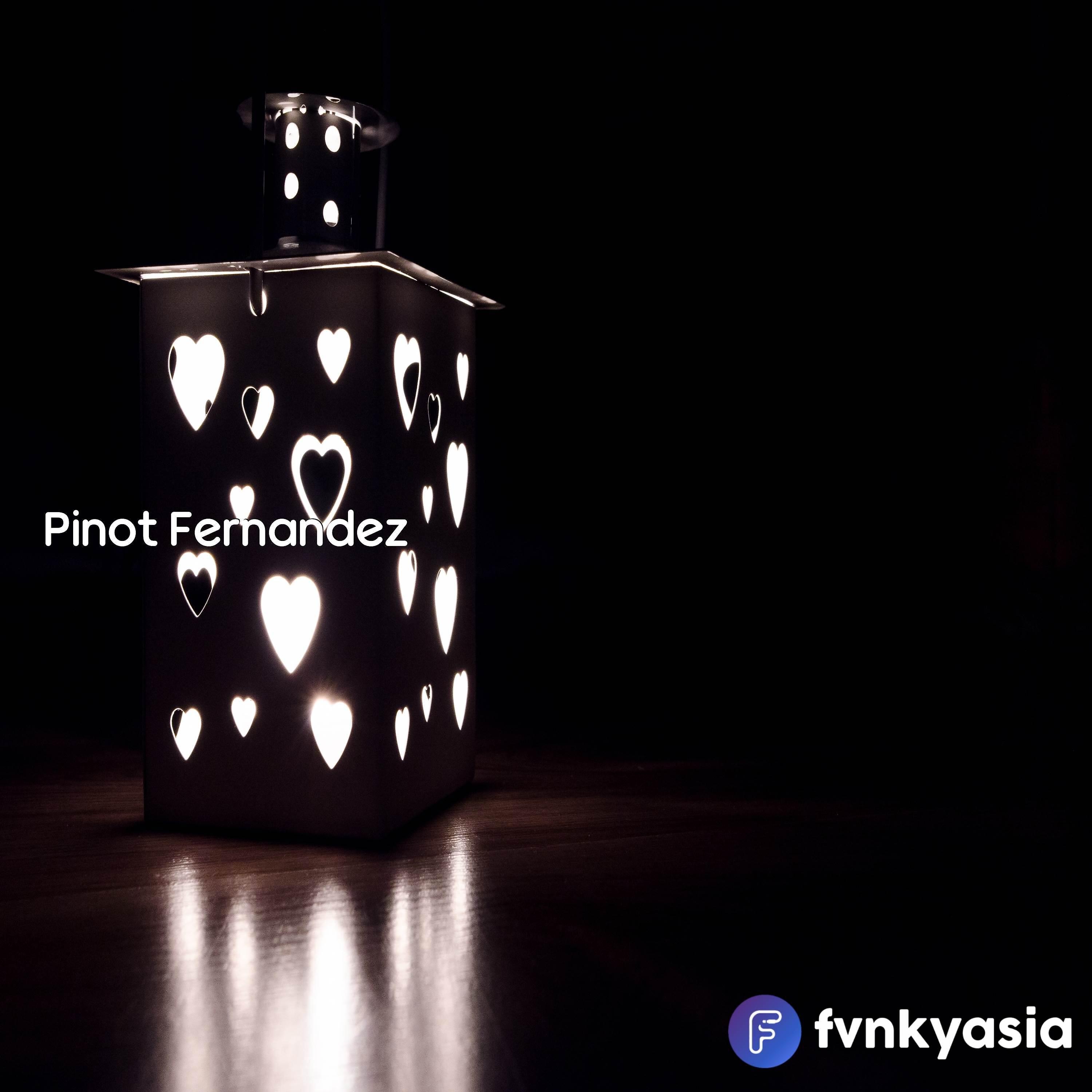 Pinot Fernandez