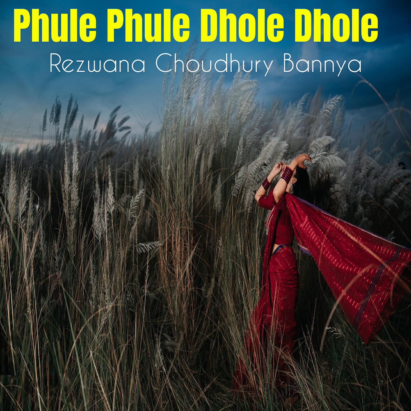 Релиз Phule Phule Dhole Dhole