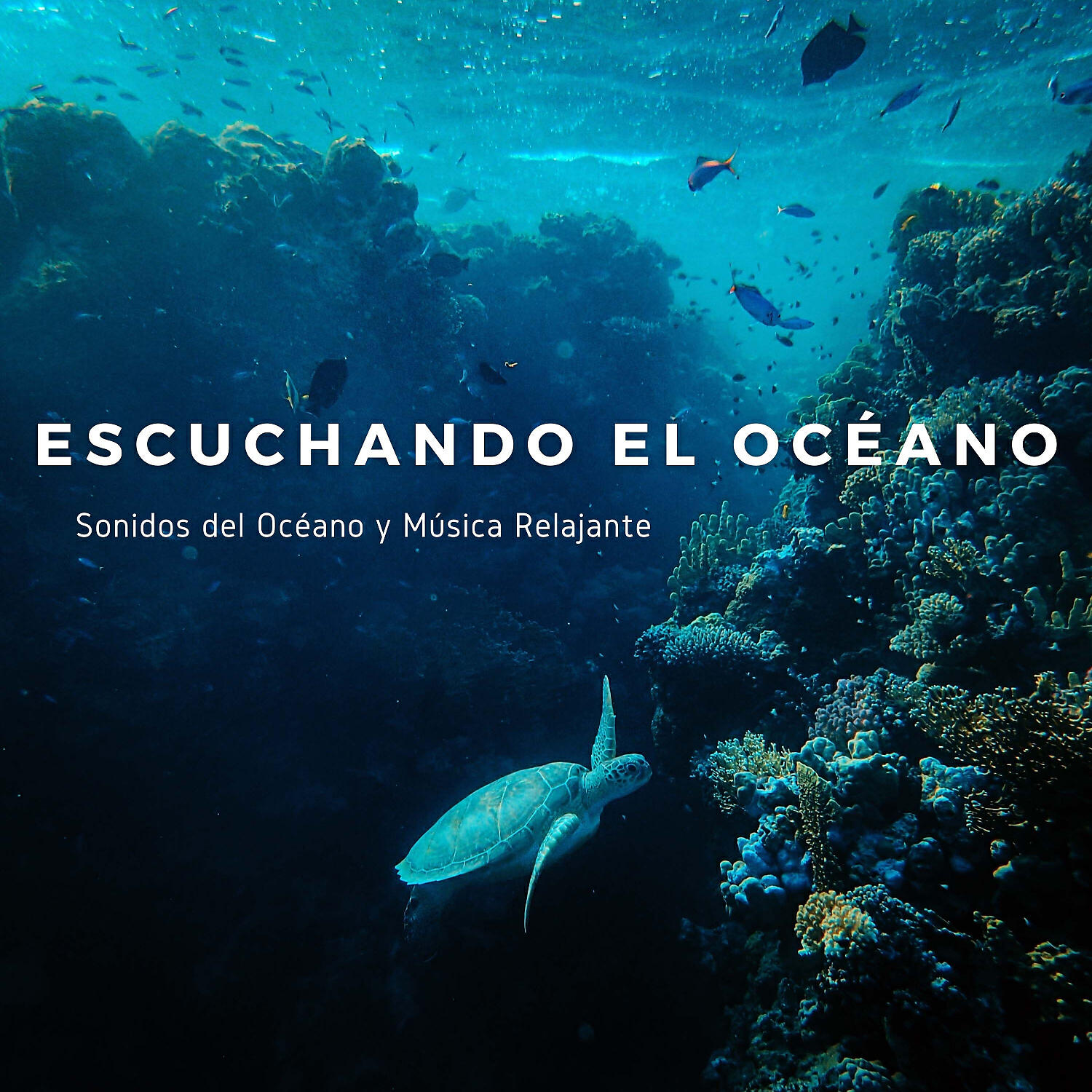 Relajación océano y Olas & Naturaleza Sonidos & Sonidos De Agua - Oidos Libres