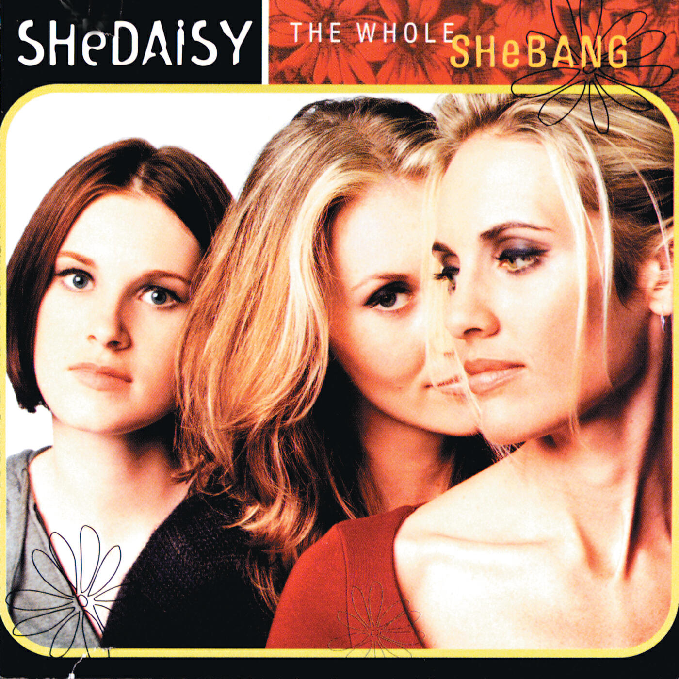 Постер альбома The Whole Shebang
