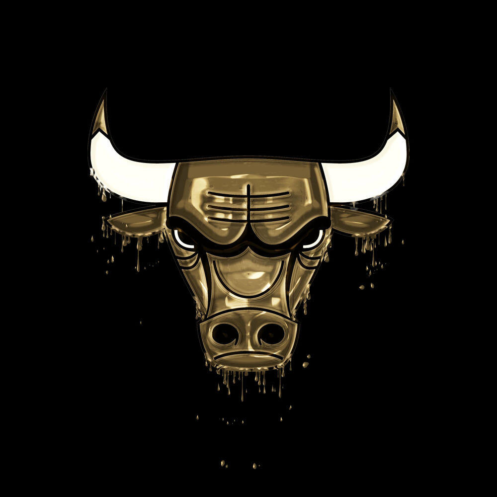 Релиз The Bulls Intro