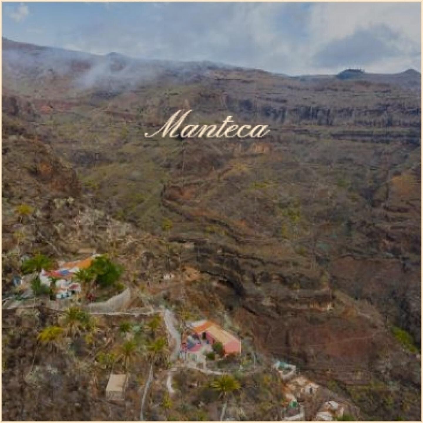 Постер альбома Manteca