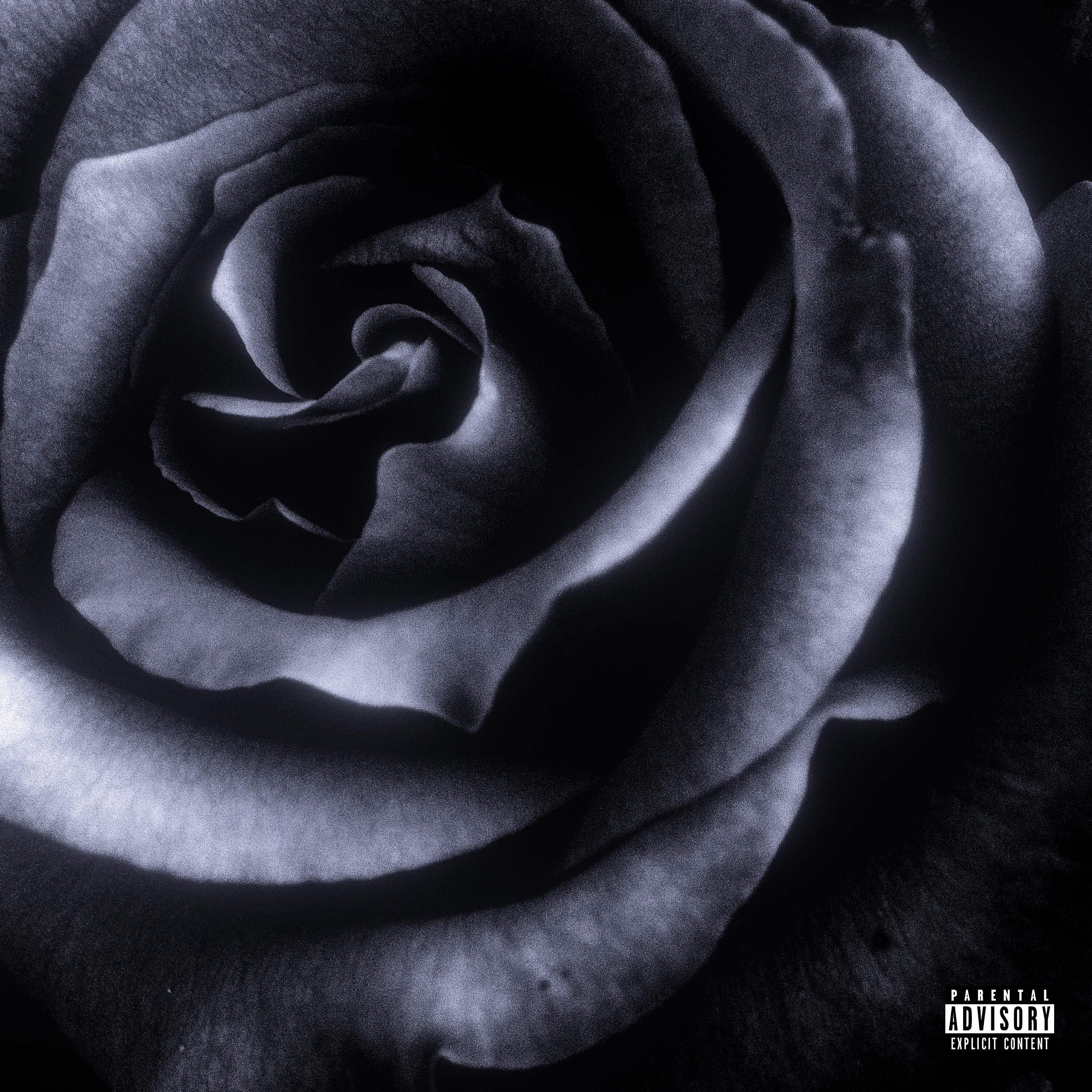 Релиз ТОЛЬКО МОЯ