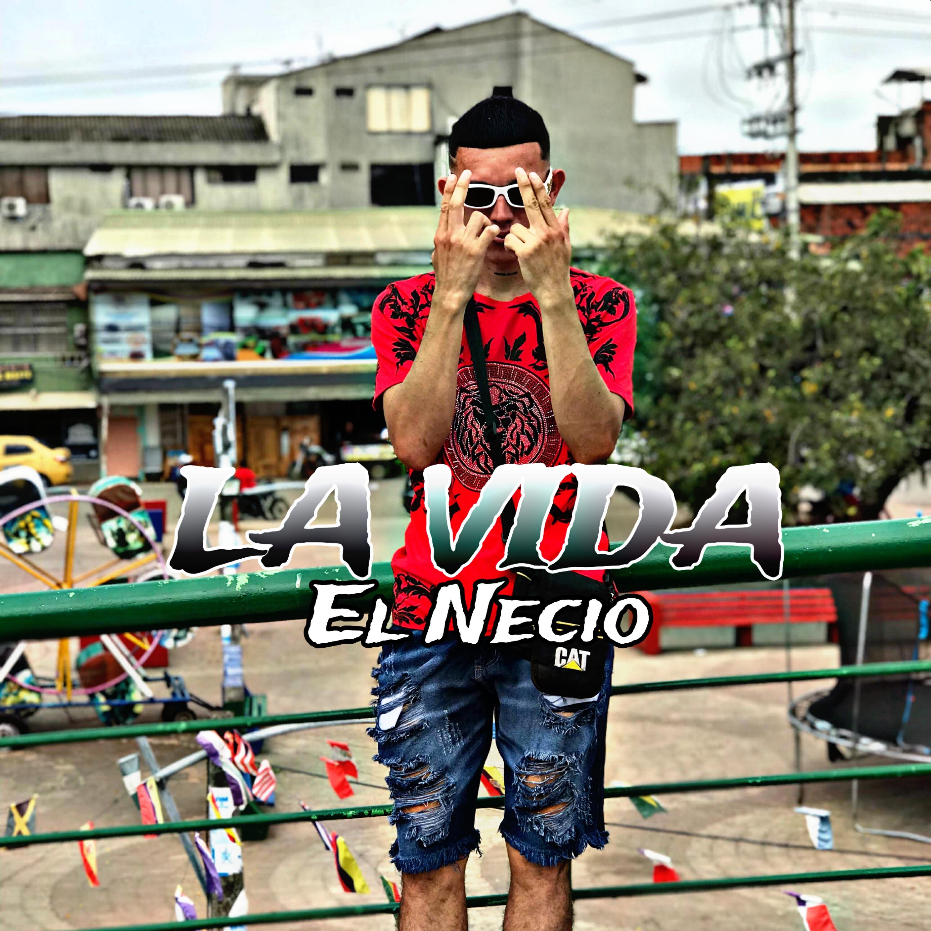 Релиз La Vida