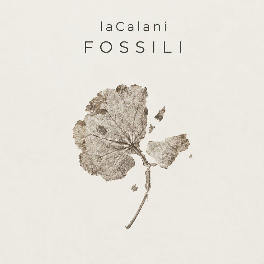 Релиз Fossili