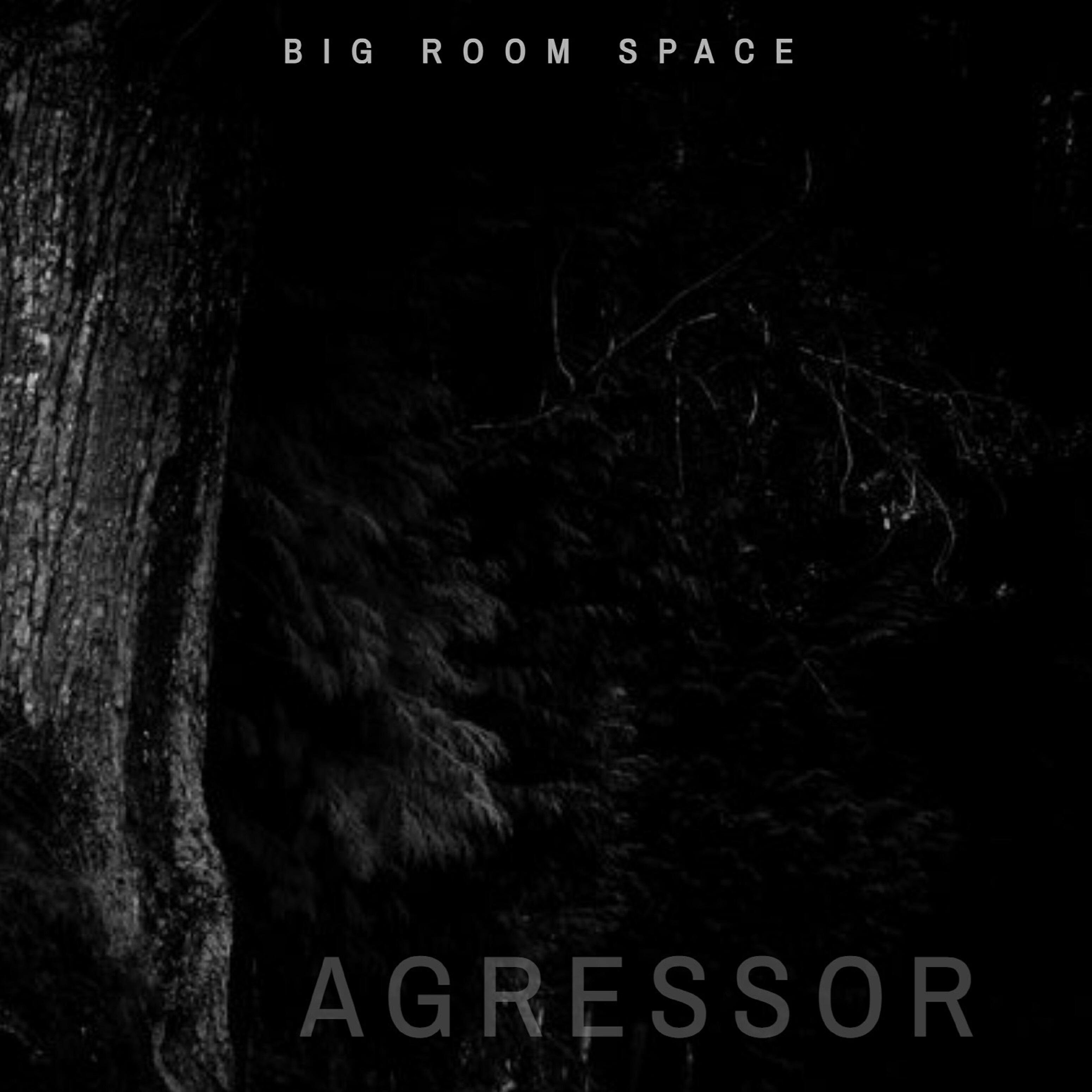 Релиз Agressor