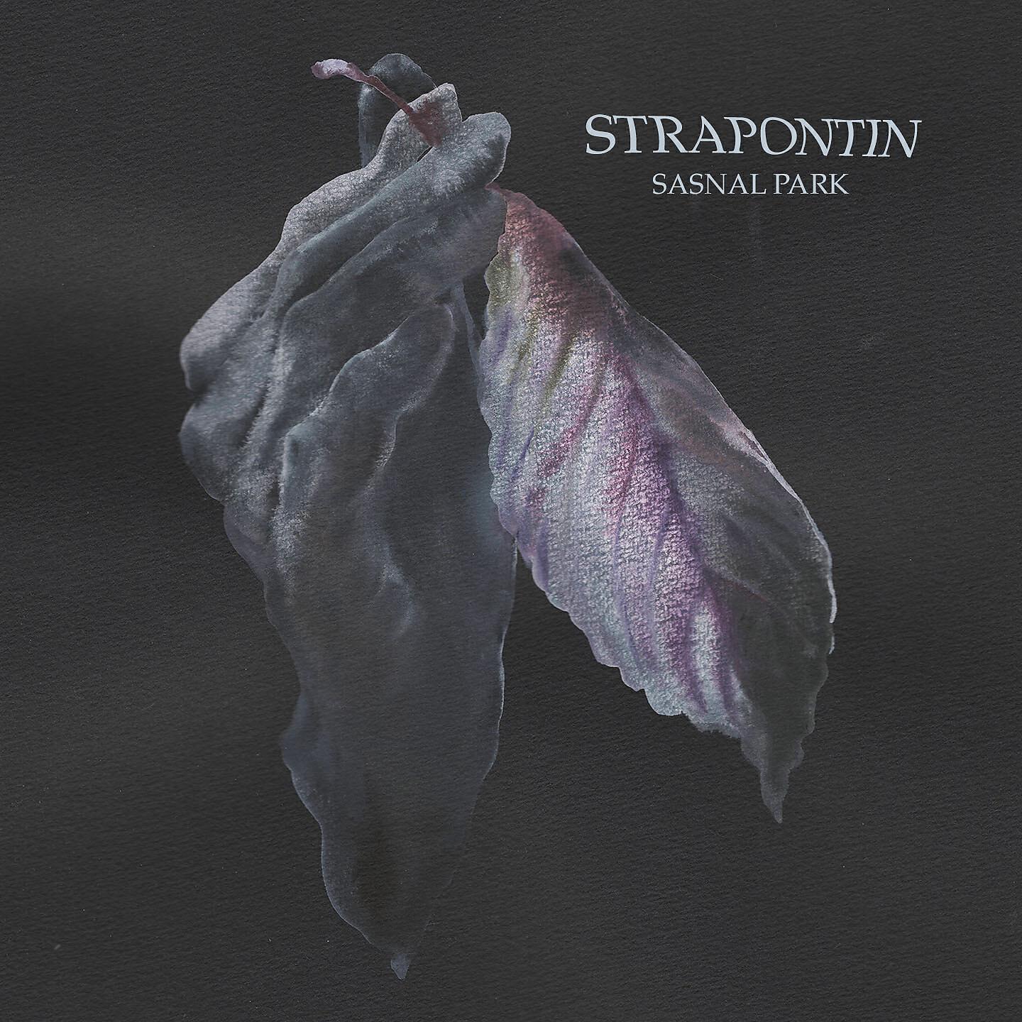 Релиз Sasnal Park