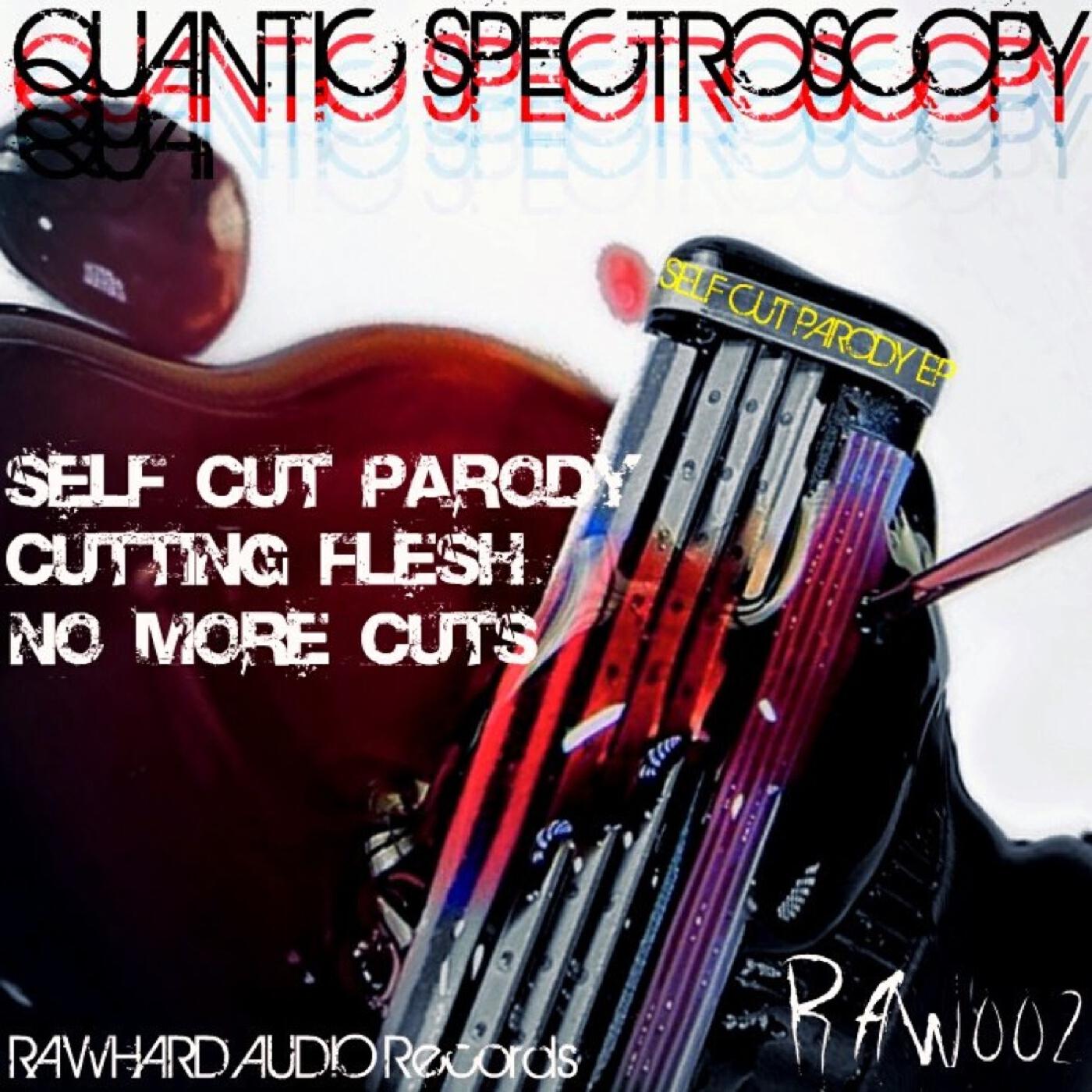 Релиз Self Cut Parody