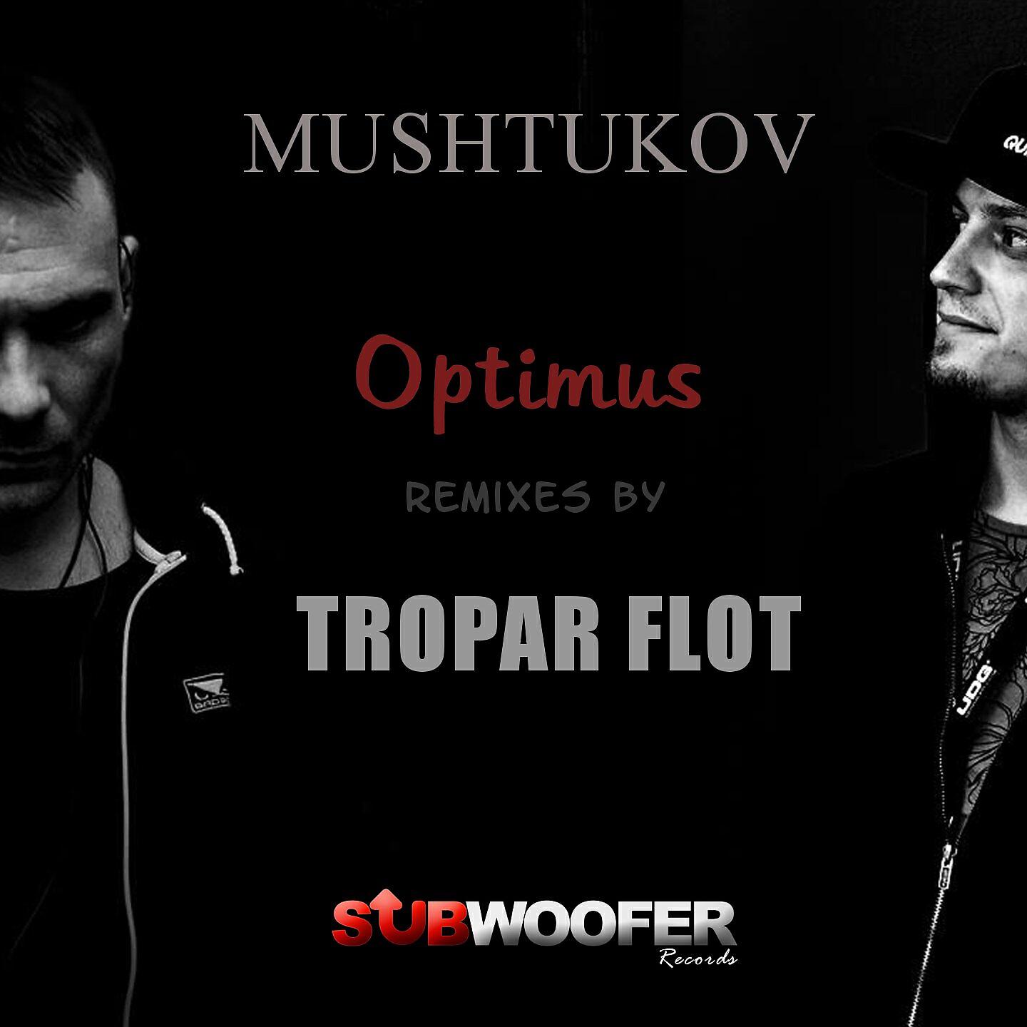 Релиз Optimus