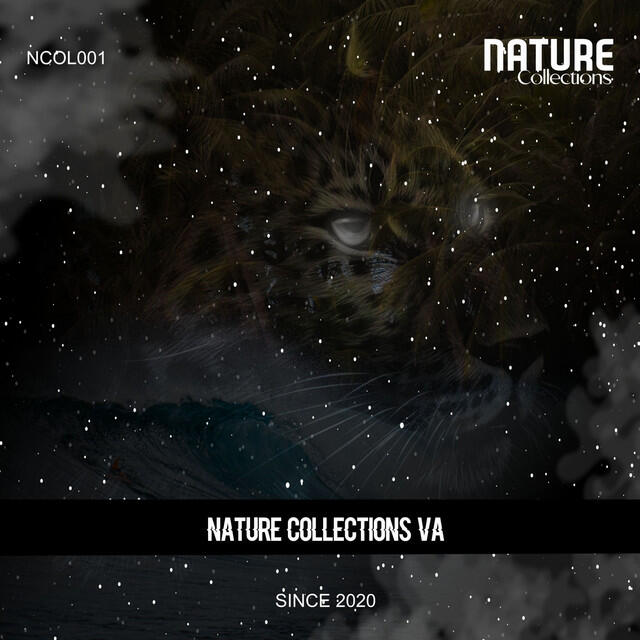 Релиз Nature Collections VA