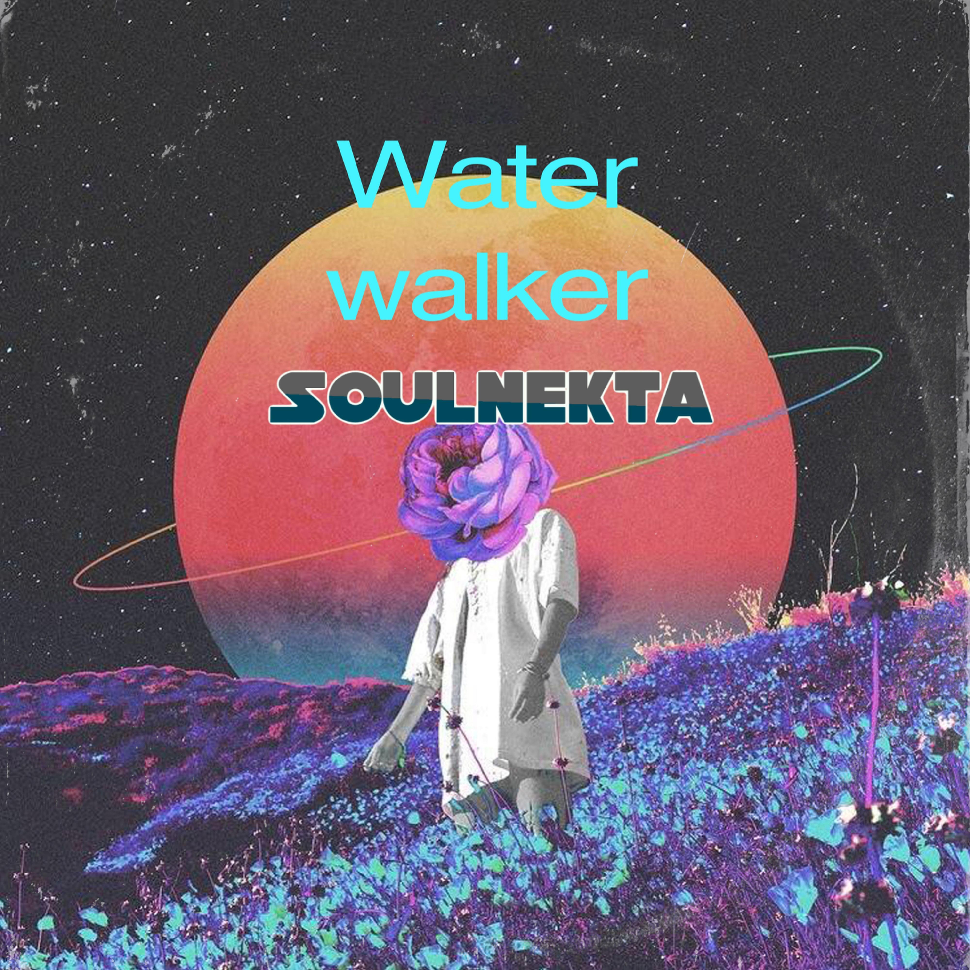 Релиз Water Walker