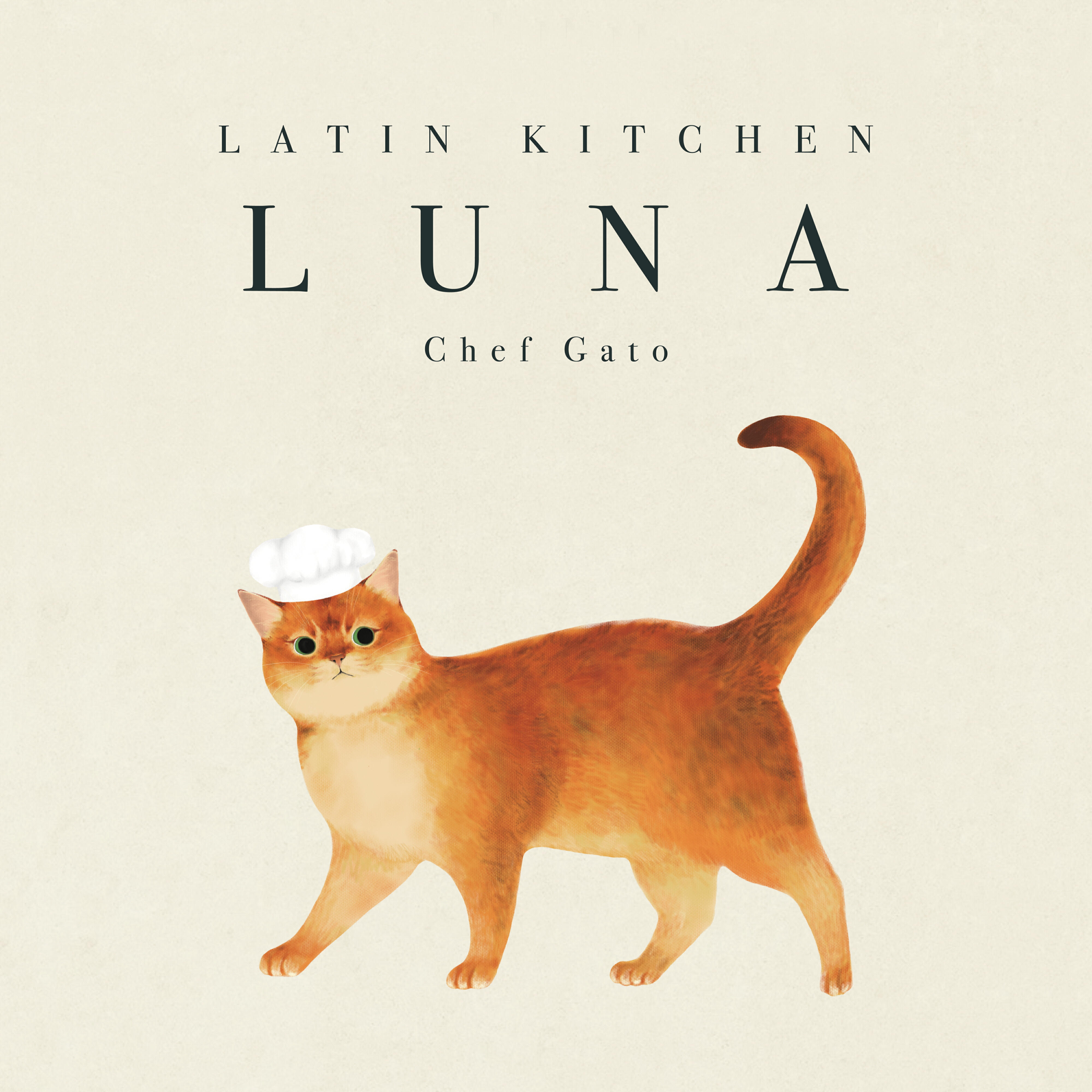Релиз Chef Gato