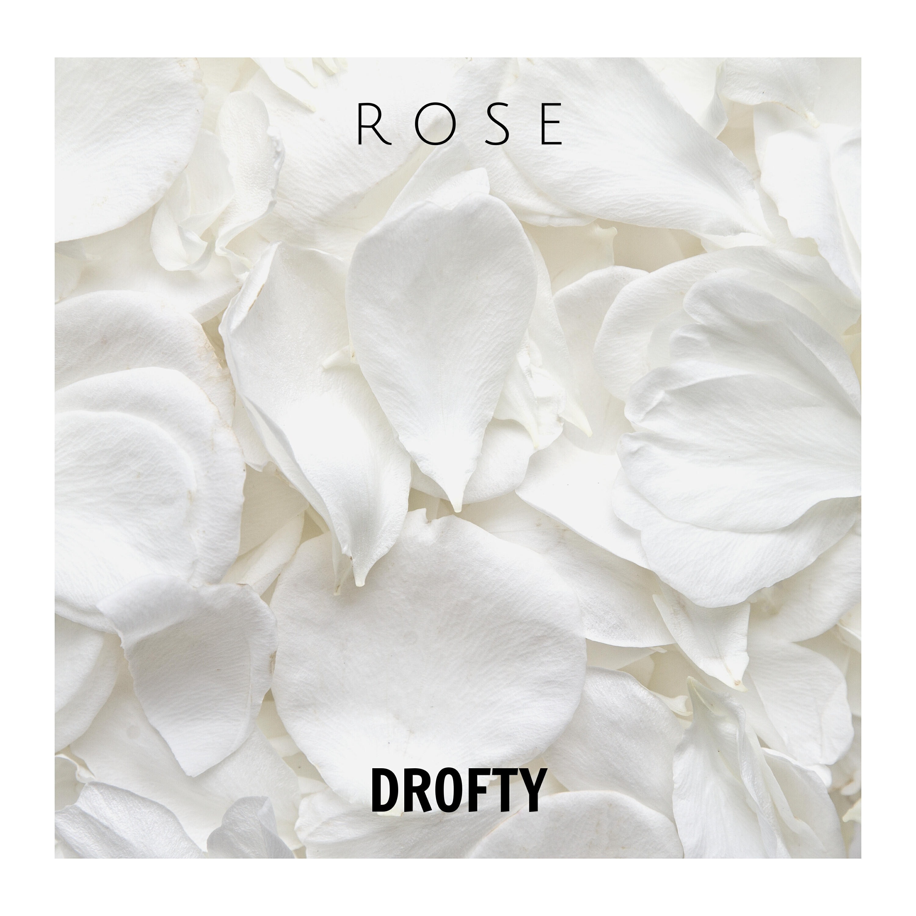 Релиз Rose