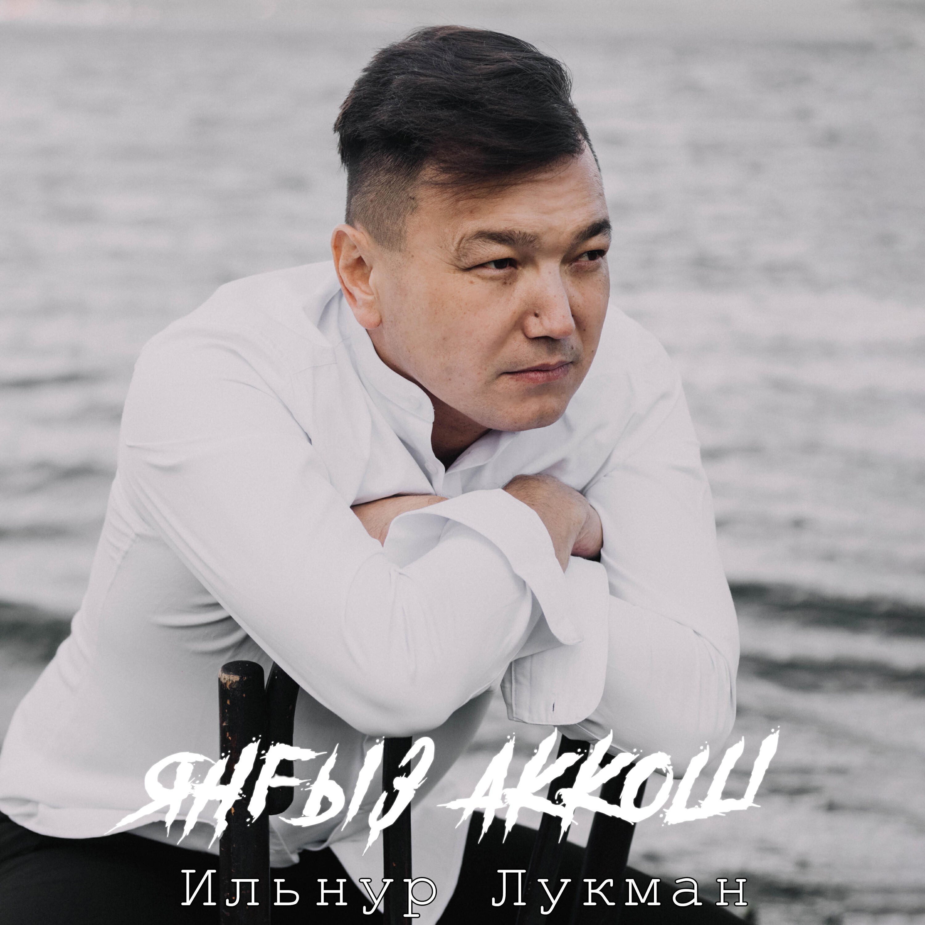 Постер альбома Яңғыҙ аҡҡош