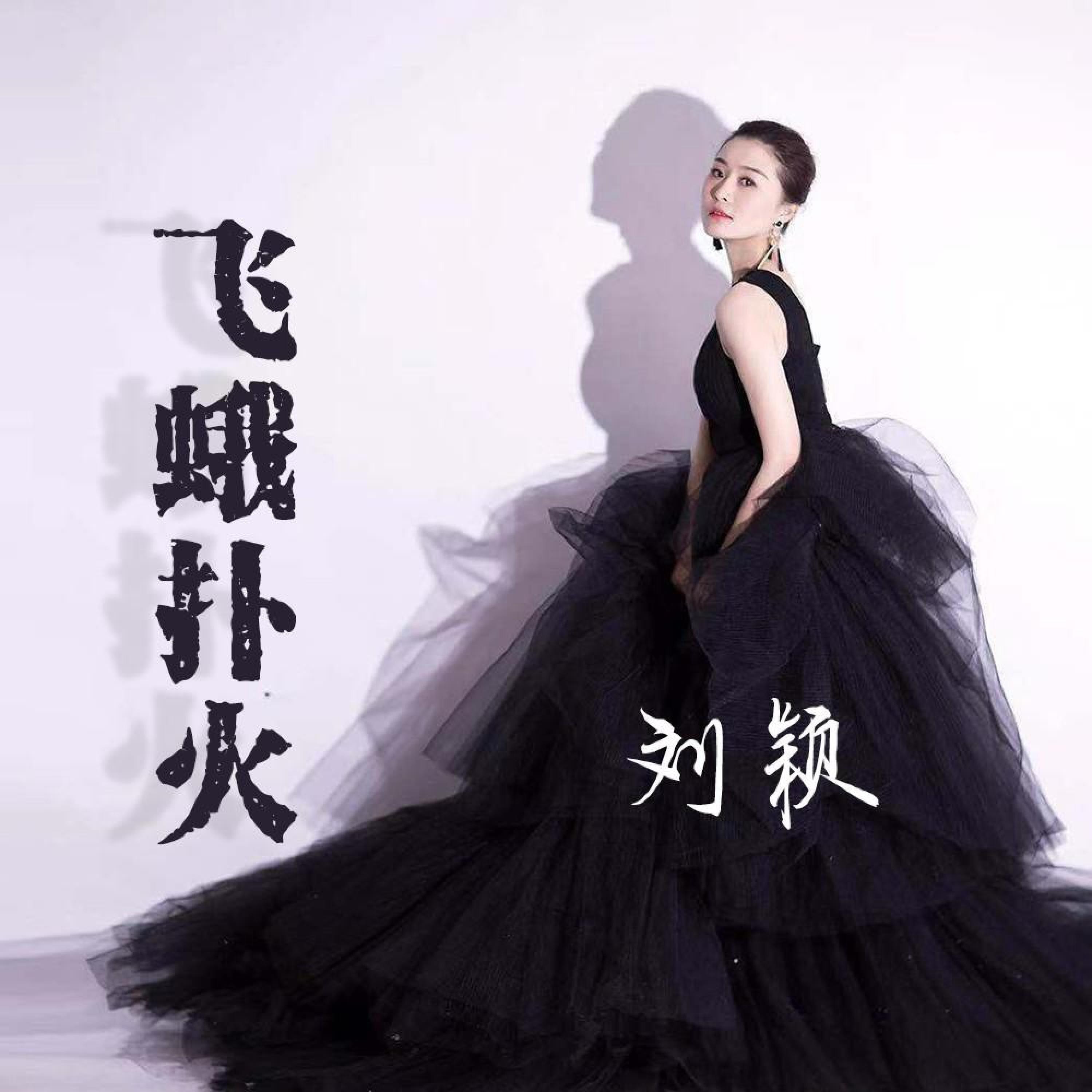 Релиз 飞蛾扑火