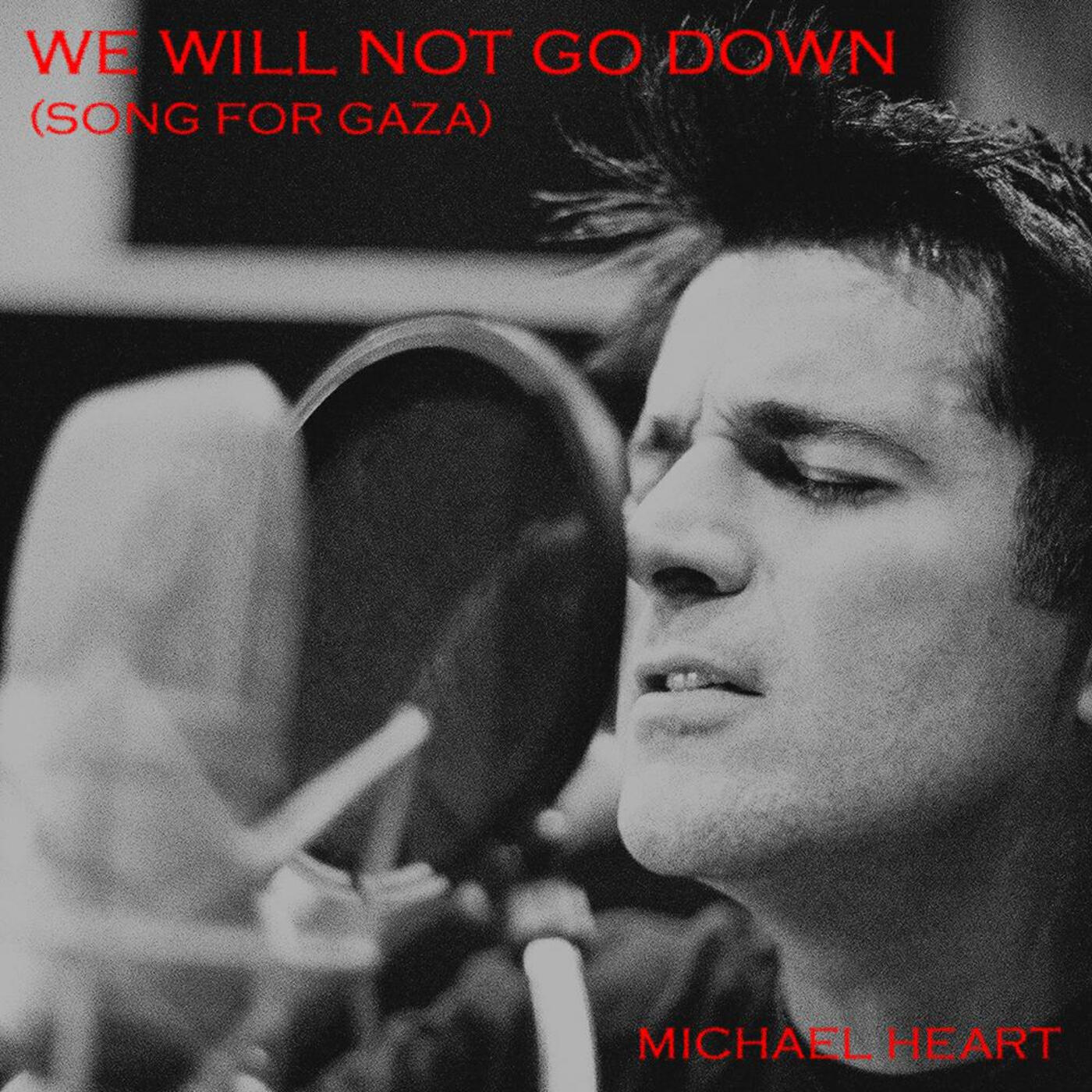 Релиз We Will Not Go Down (Song for Gaza)- Single