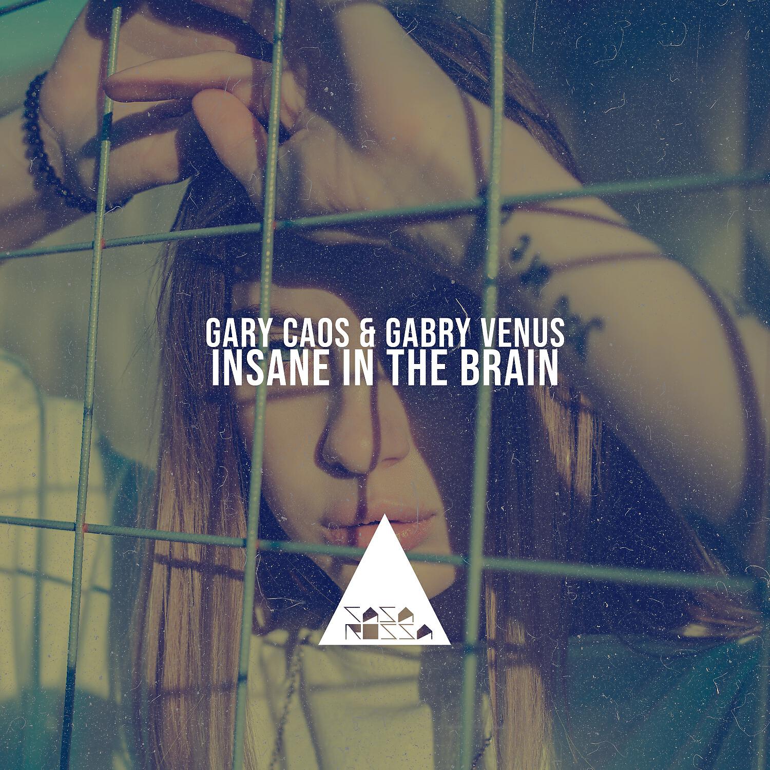 Релиз Insane in the Brain