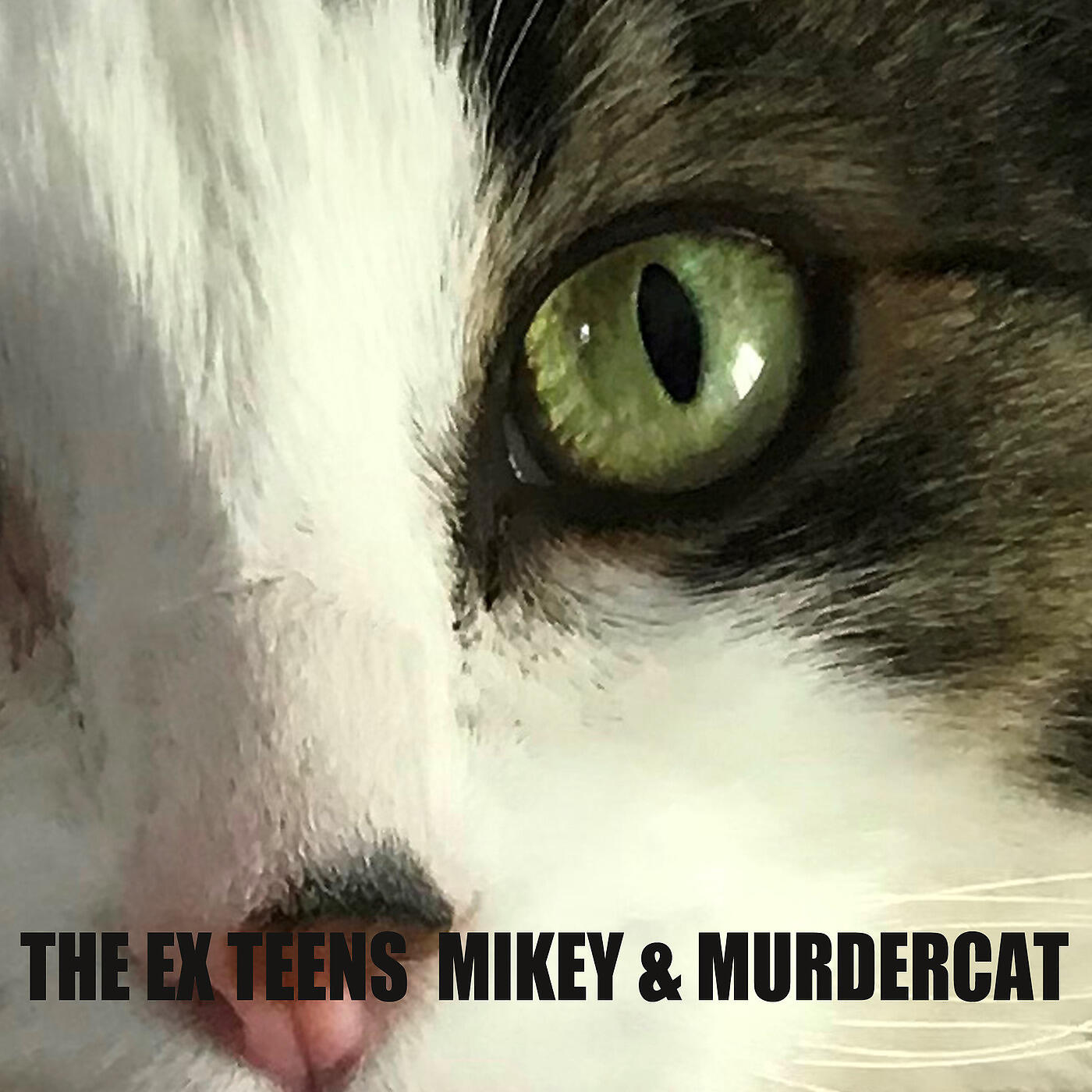 Релиз Mikey & Murdercat