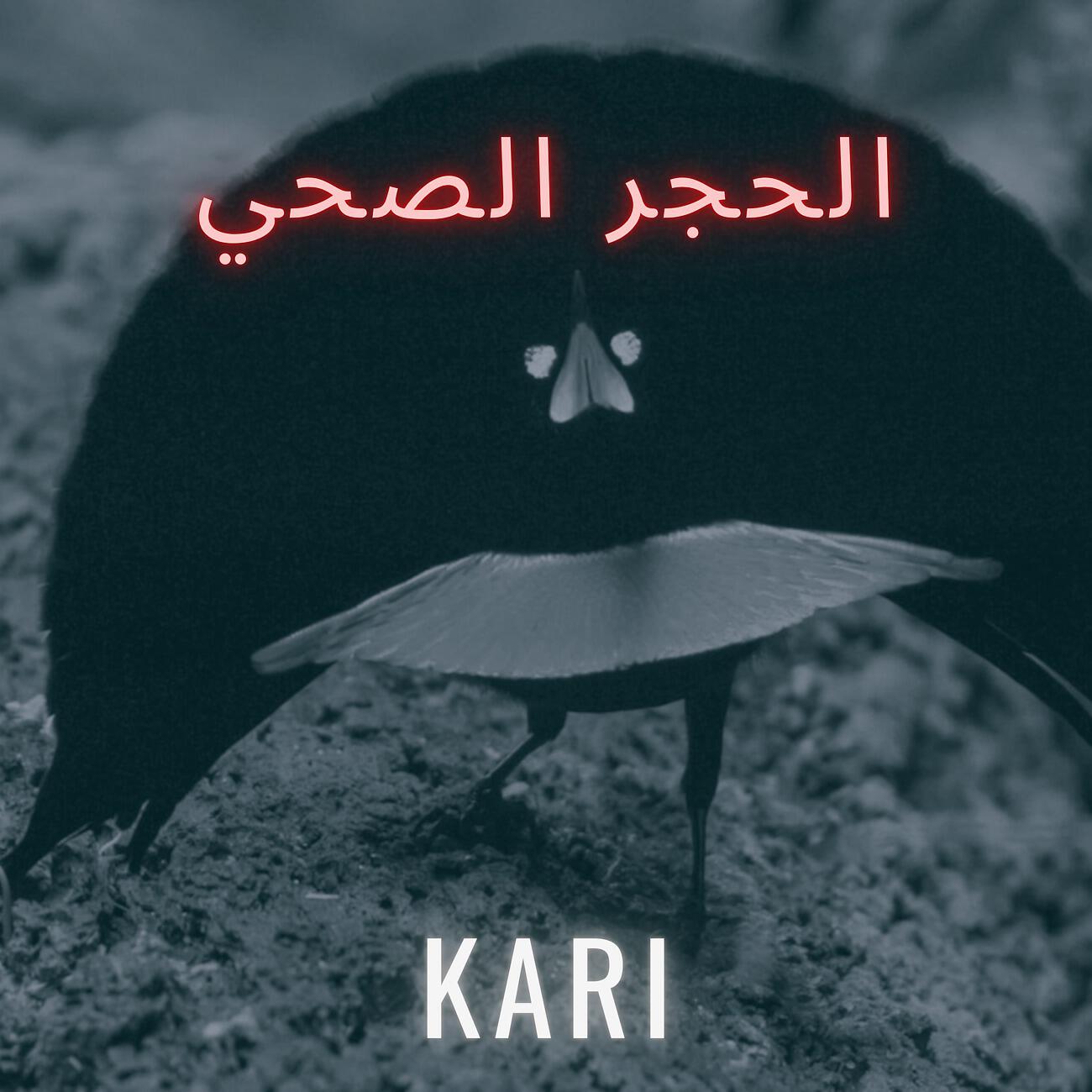 Релиз الحجر الصحي