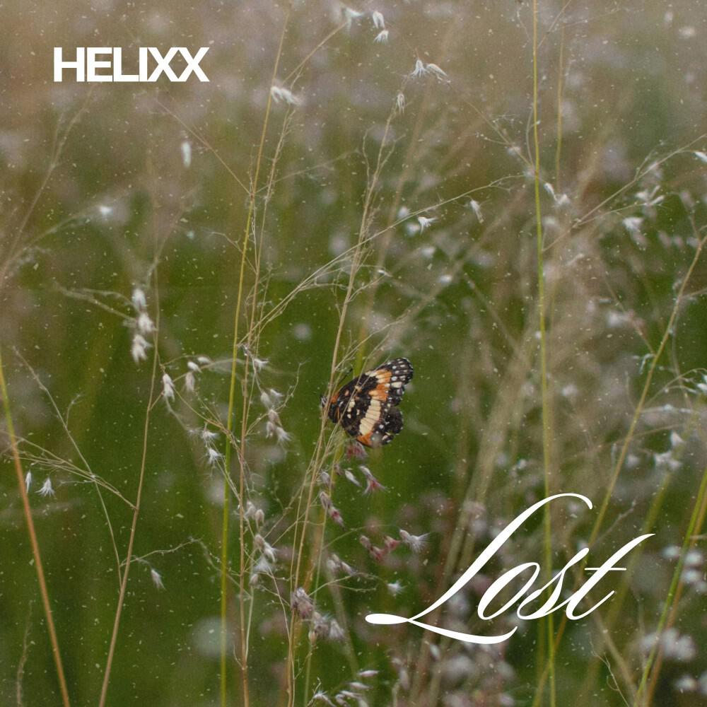 Релиз Lost