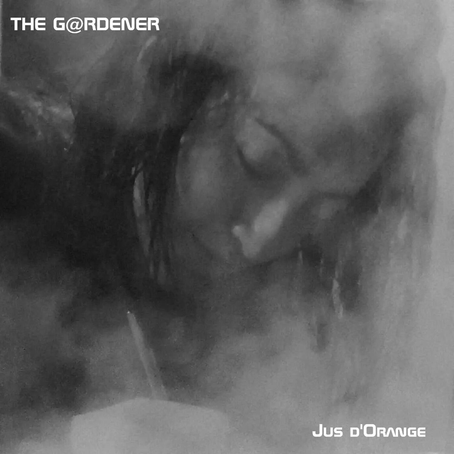 Релиз Jus d'orange