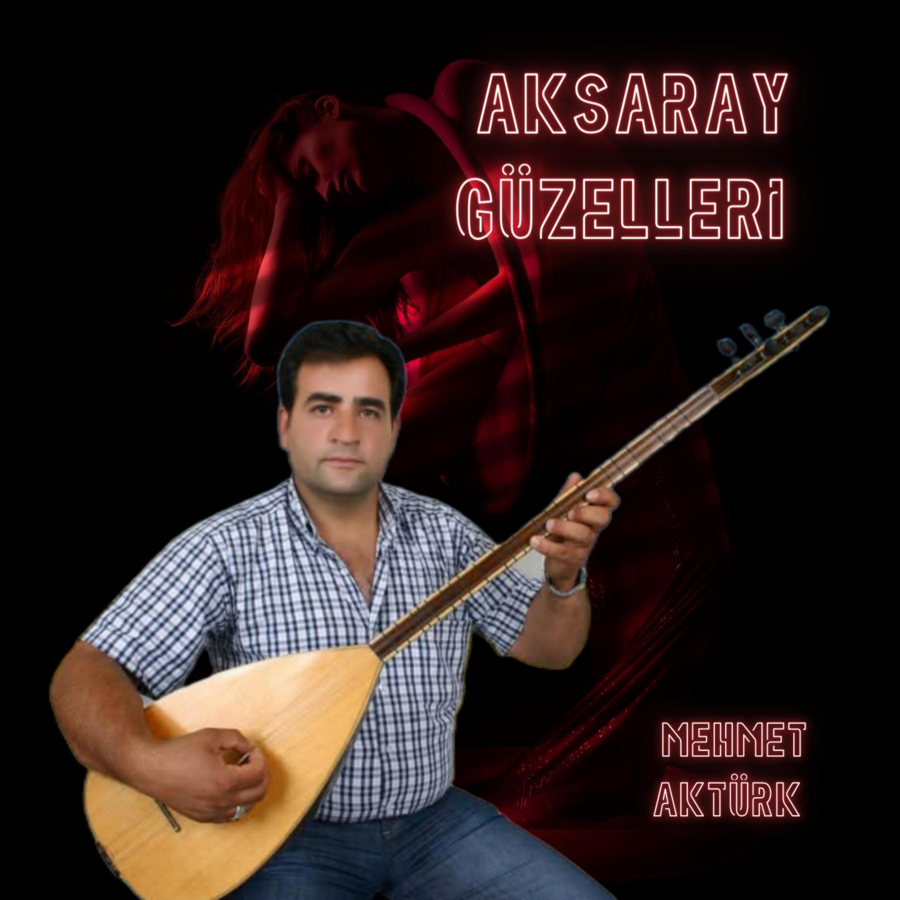 MEHMET AKTÜRK