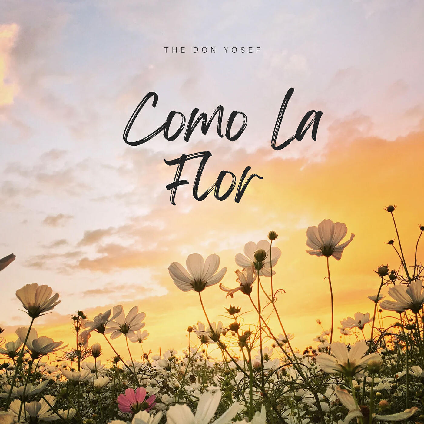 Релиз Como La Flor